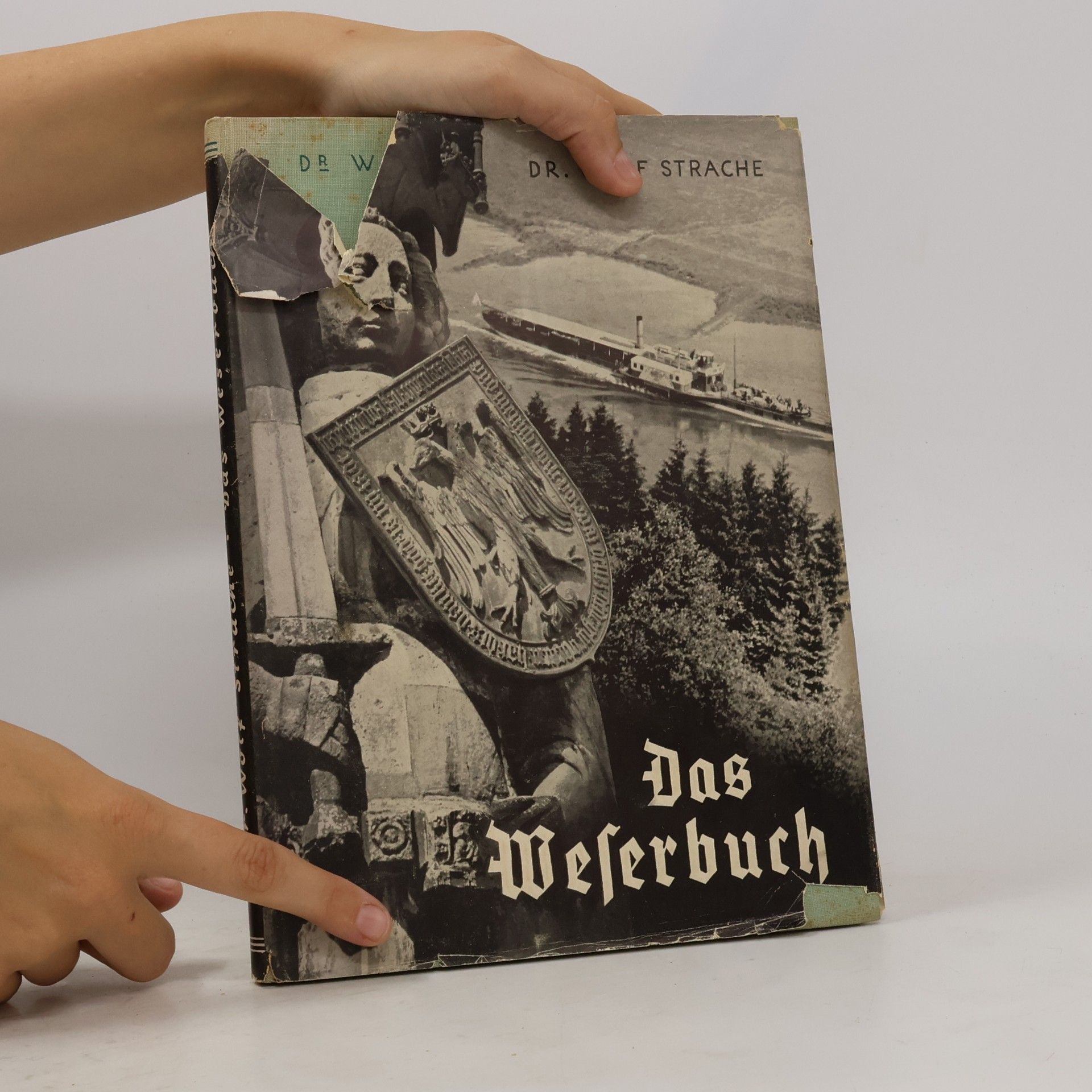 Wolf Strache Das Weserbuch
