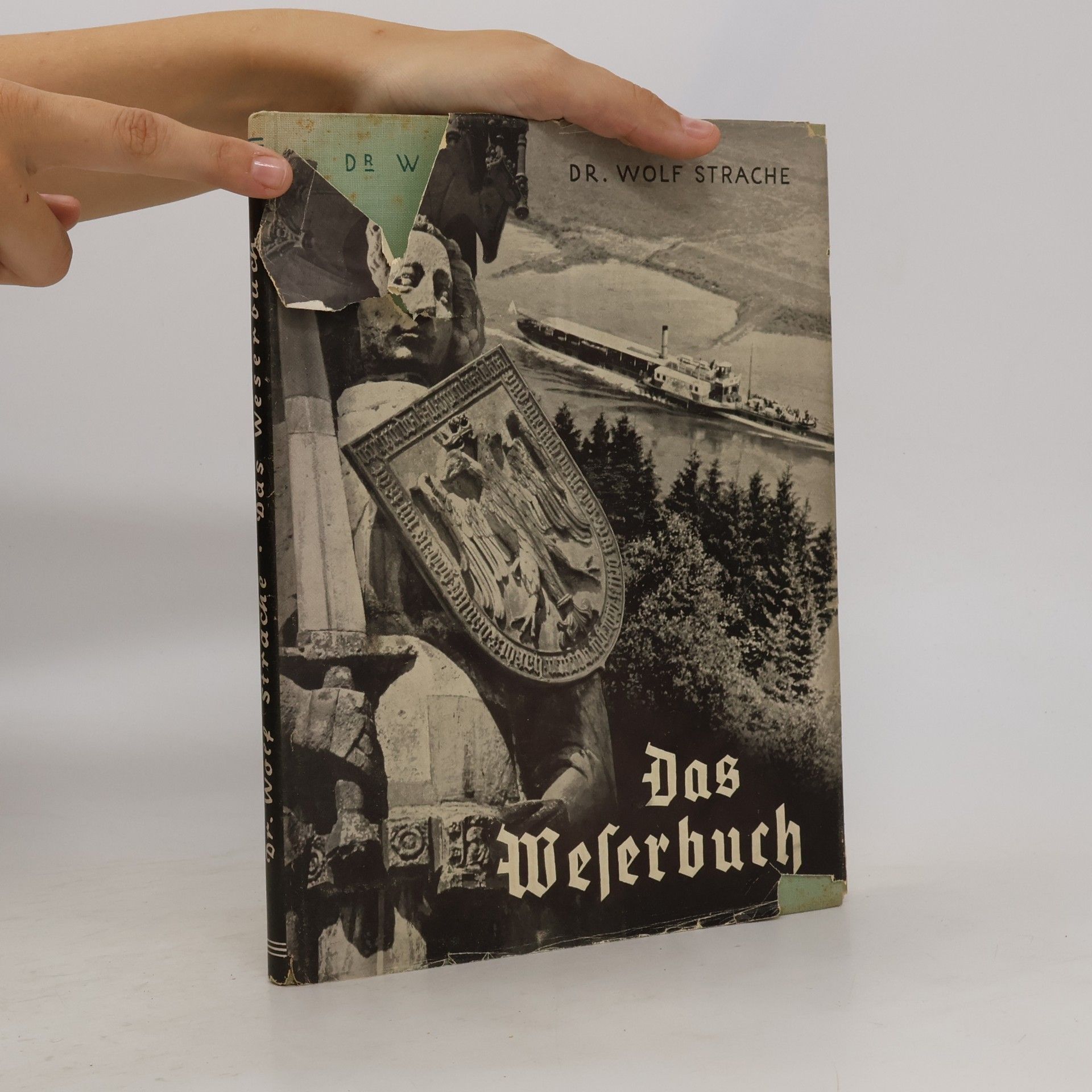 Wolf Strache Das Weserbuch