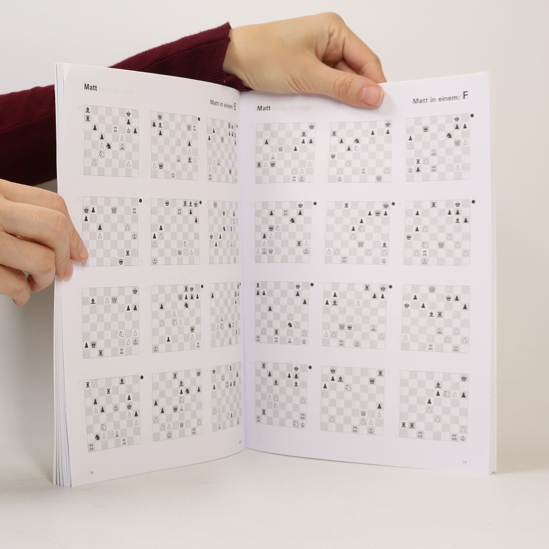 Cor van Wijgerden Schach lernen. Stufe 1
