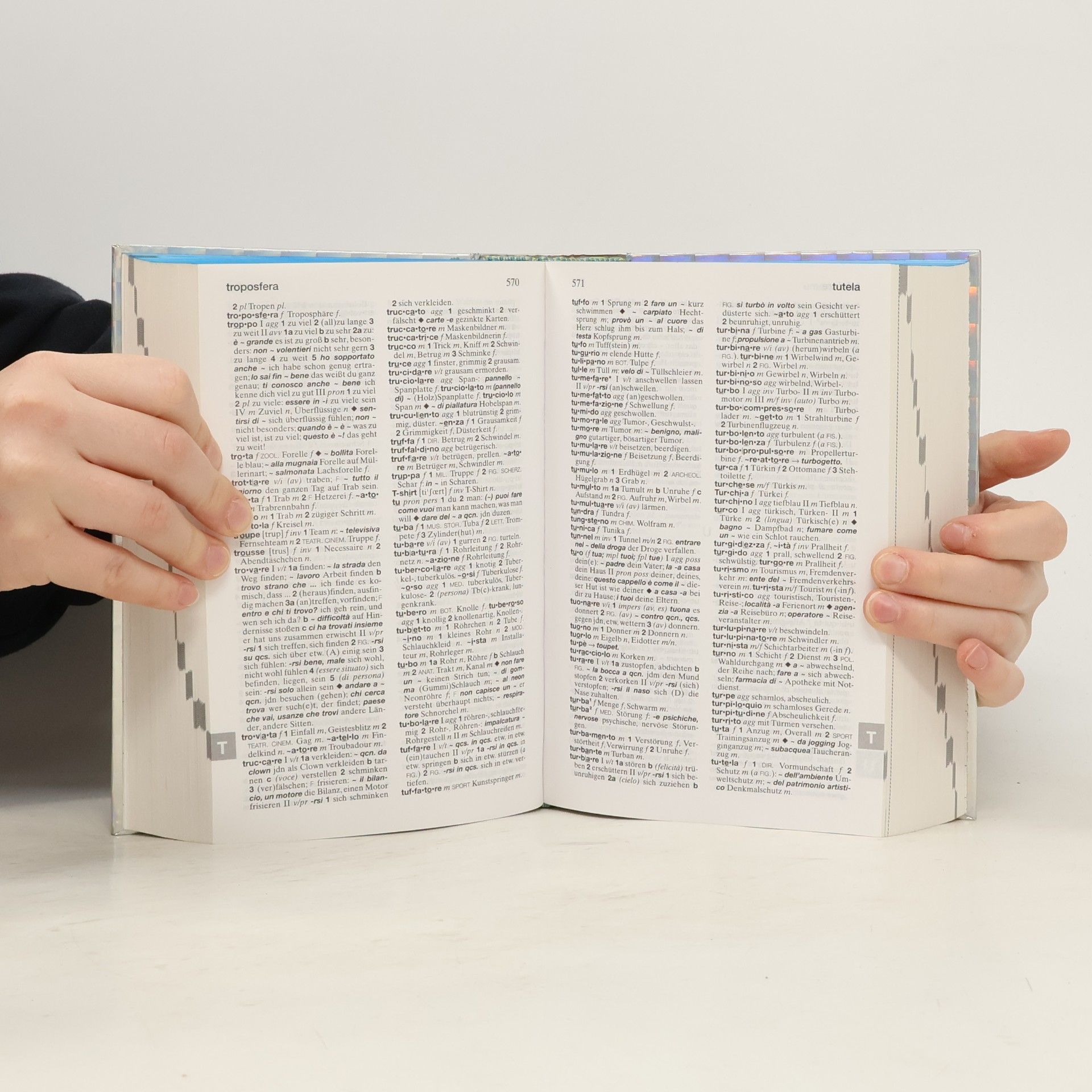 Stefano Albertini Langenscheidts Millennium-Wörterbuch Italienisch