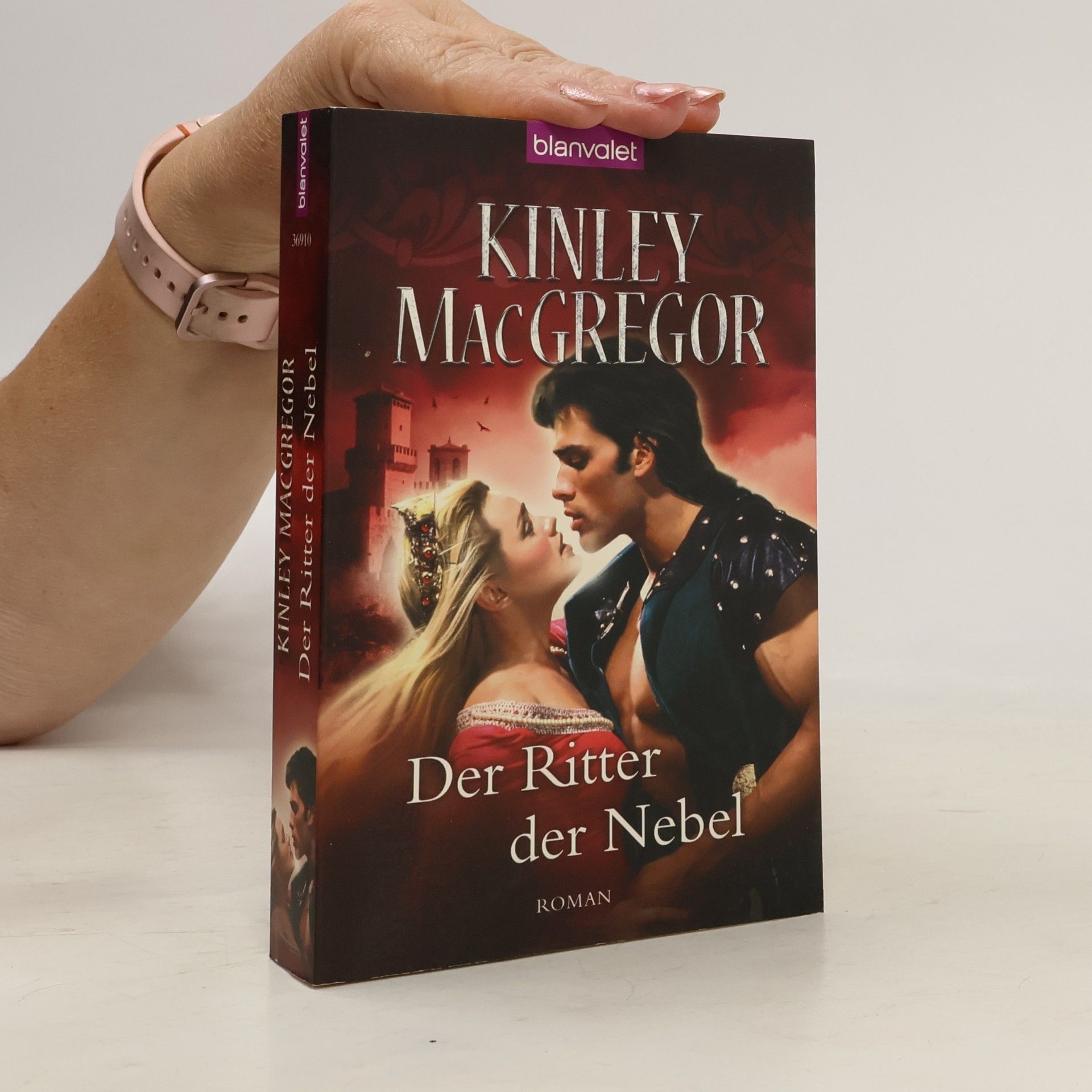 Der Ritter der Nebel