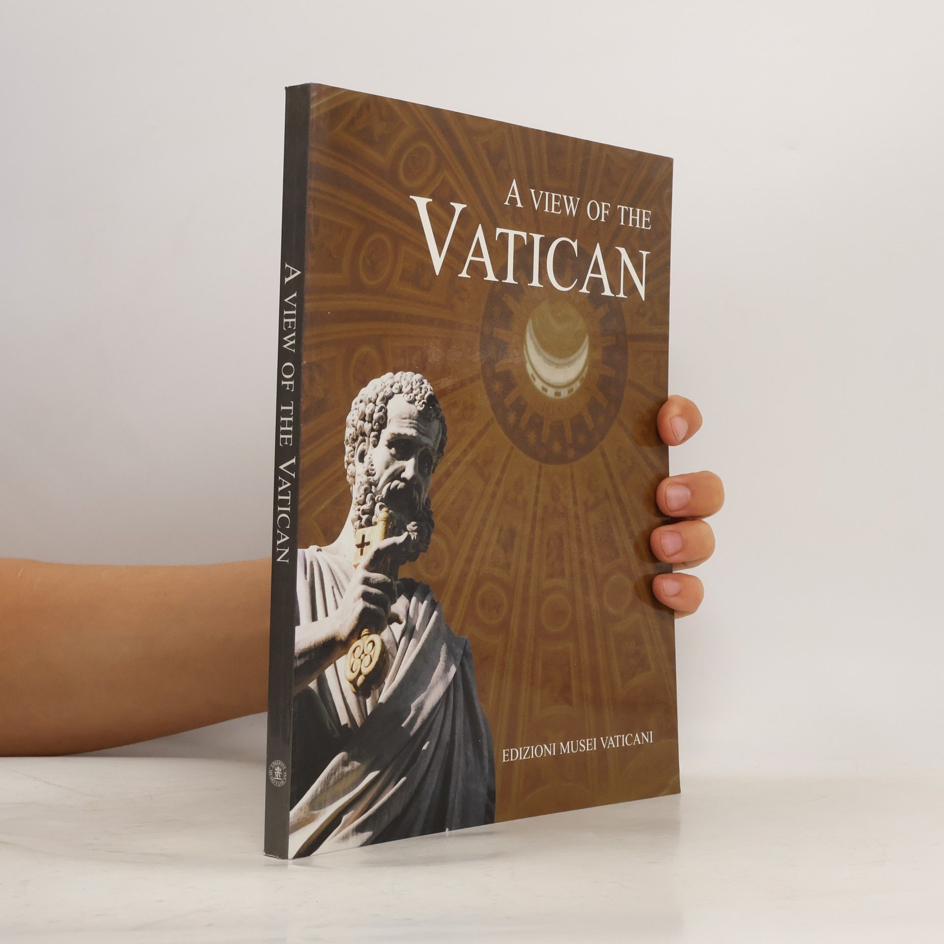 Francesco Riccardi A View of the Vatican