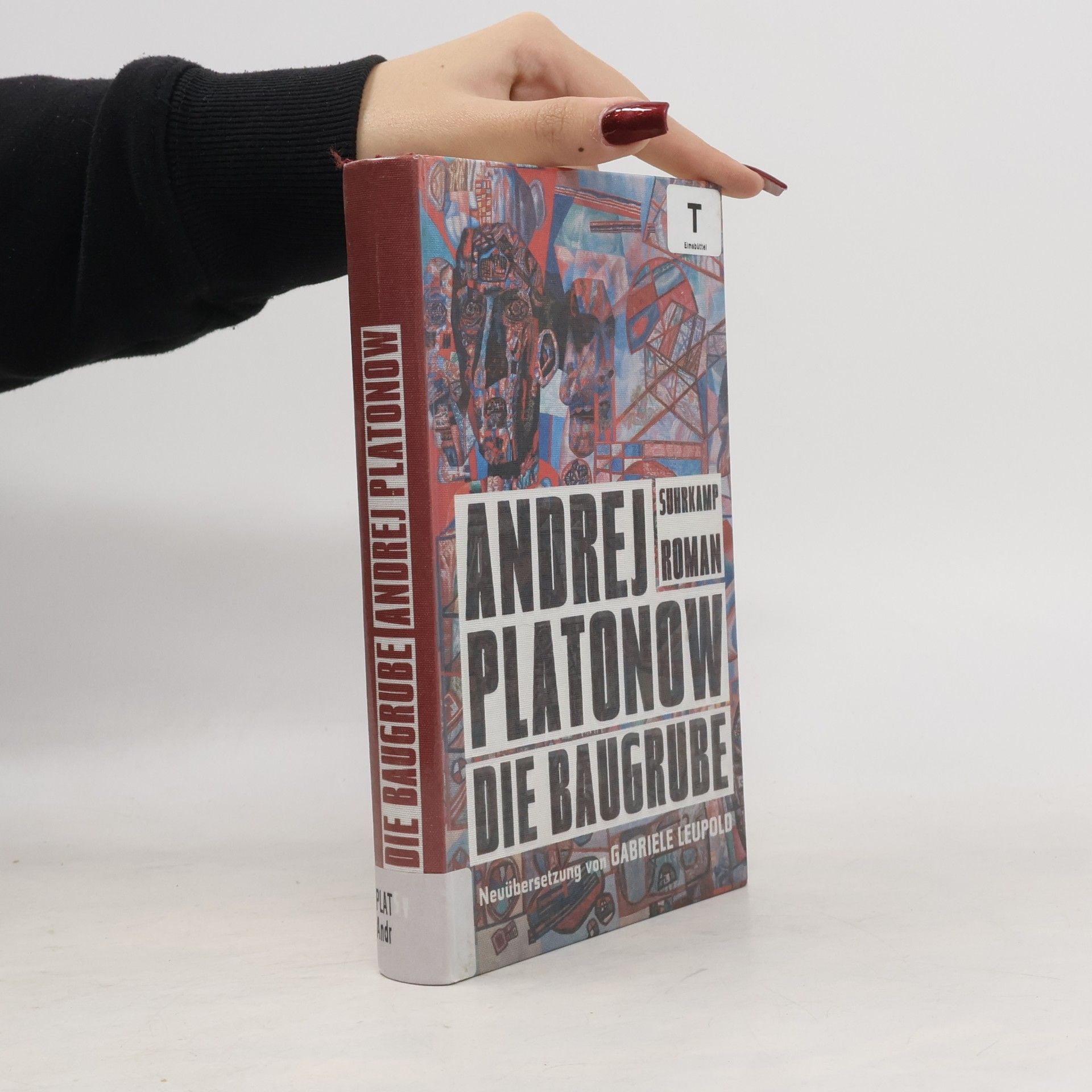 Andrei Platonov Die Baugrube
