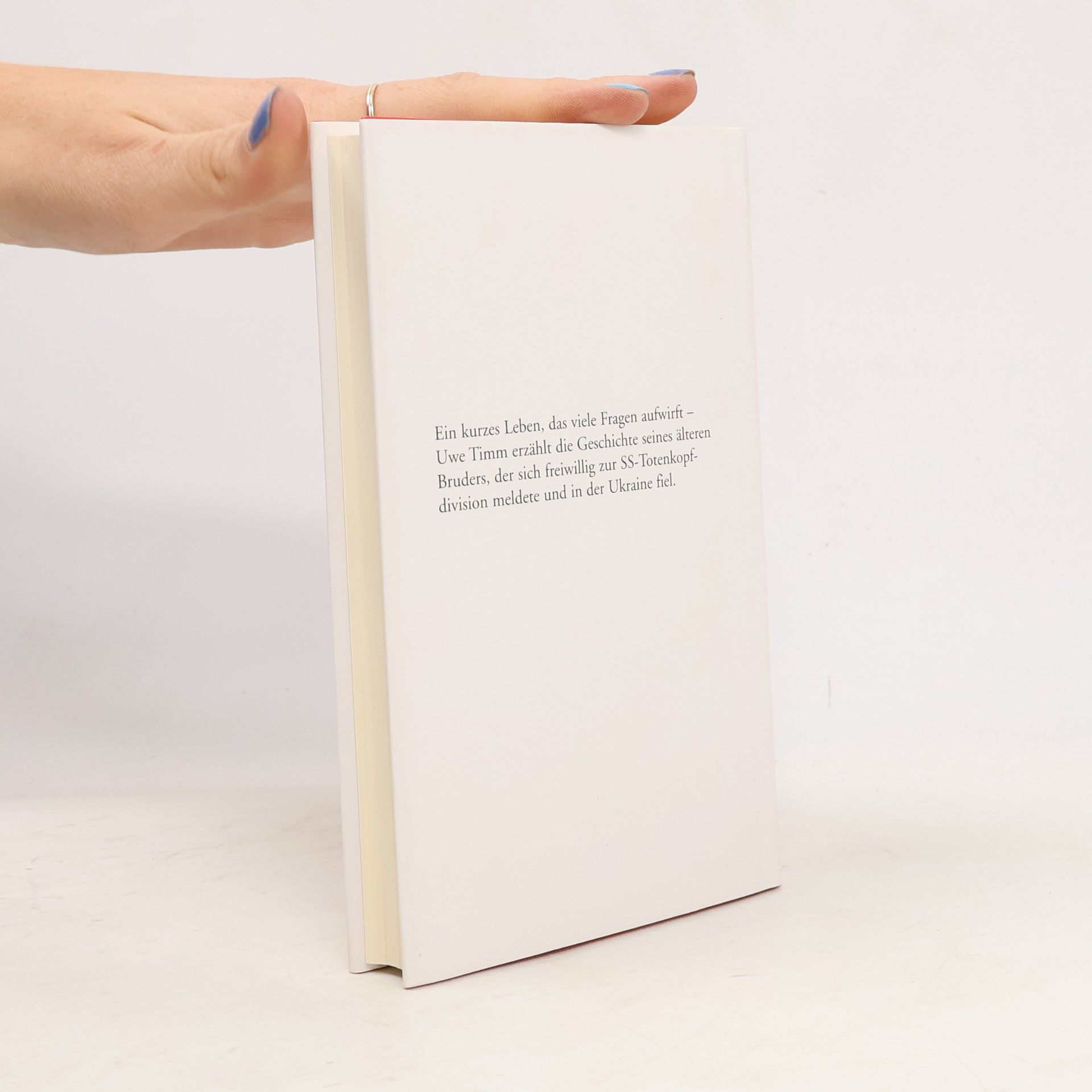 Uve Timm Am Beispiel meines Bruders