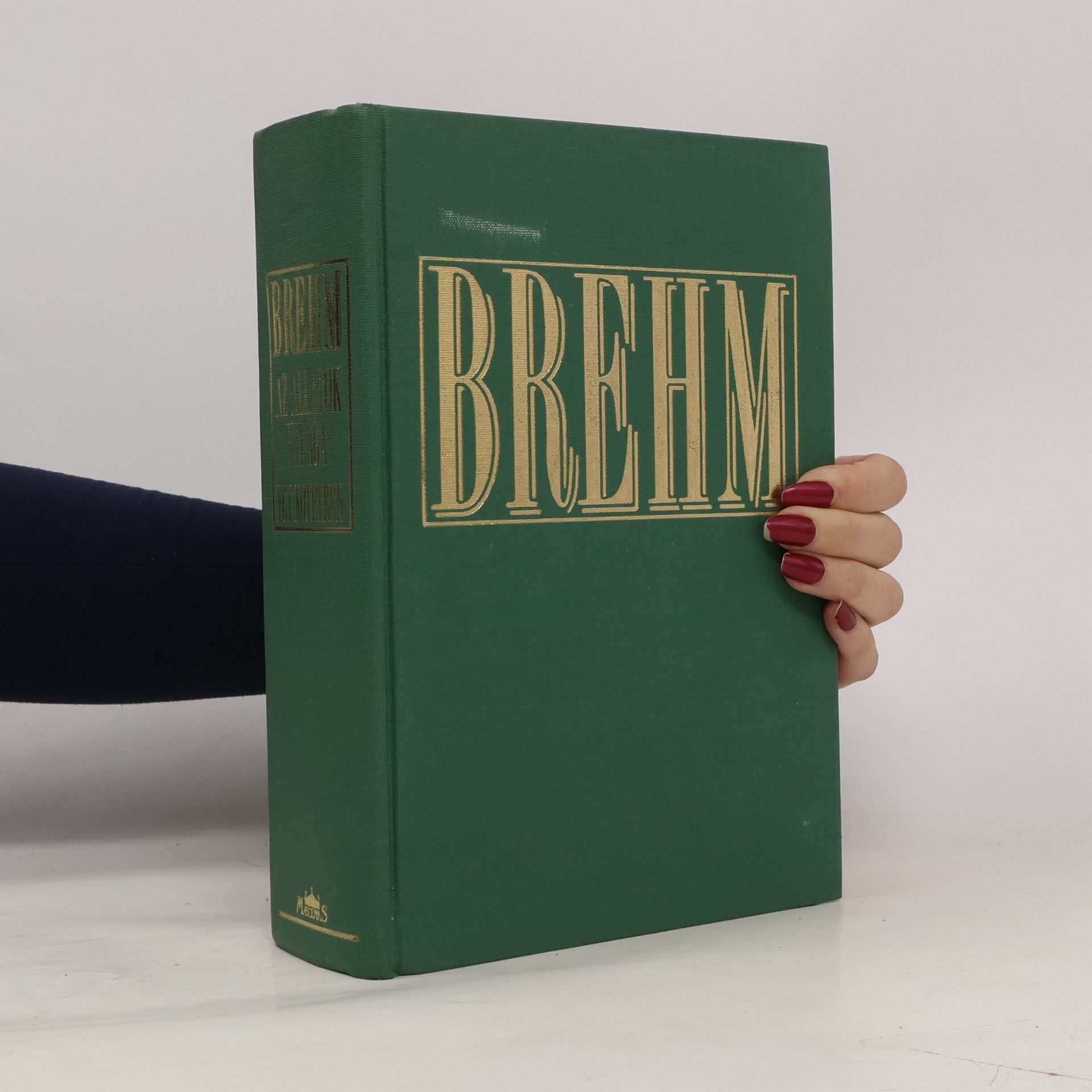kolektiv Brehm