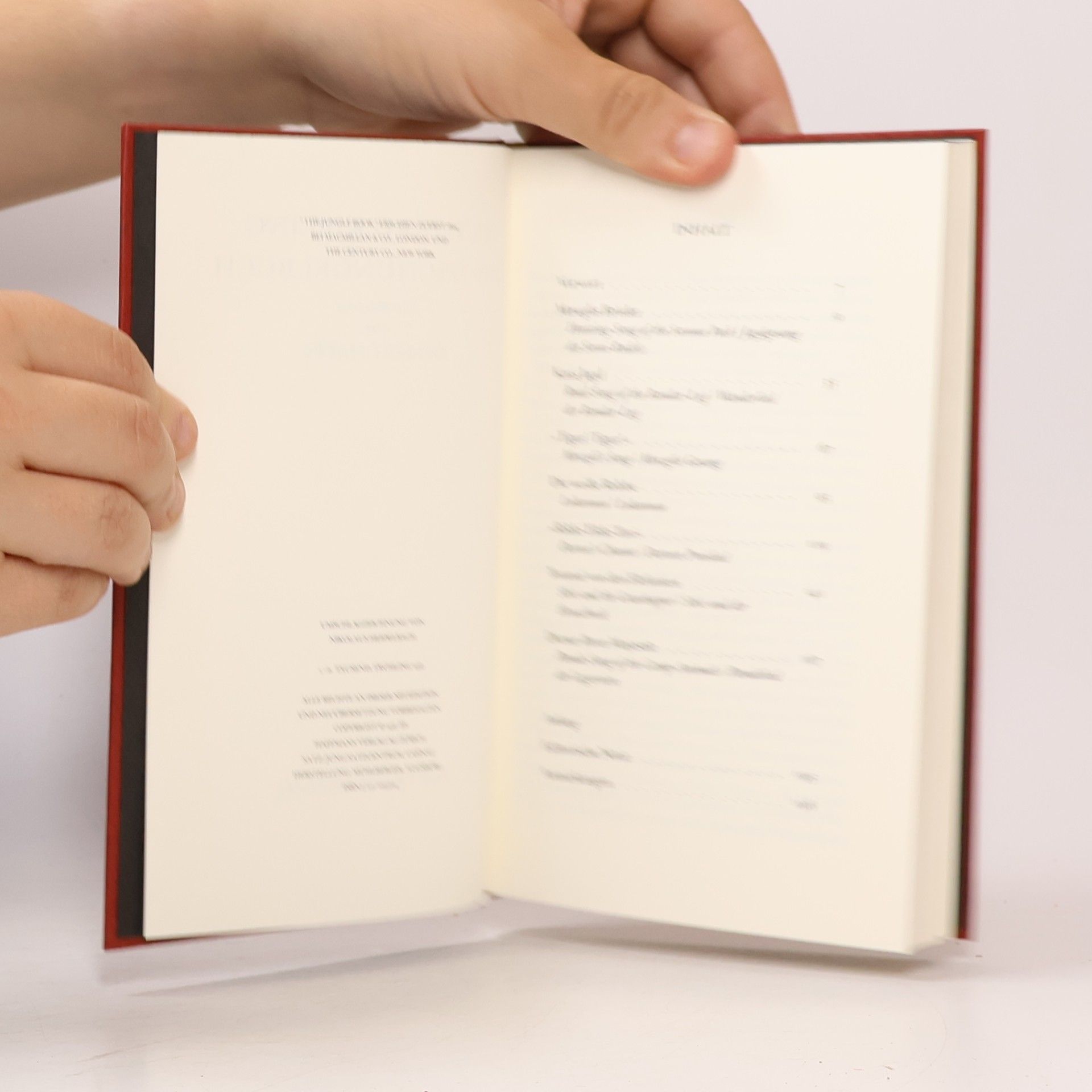 Rudyard Kipling Das Dschungelbuch