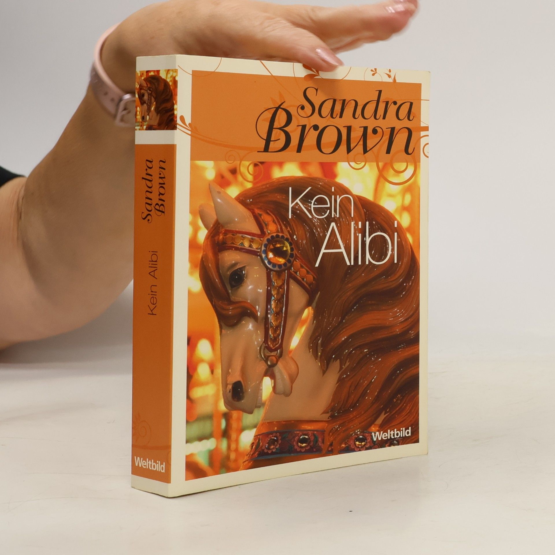 Sandra Brown Kein Alibi