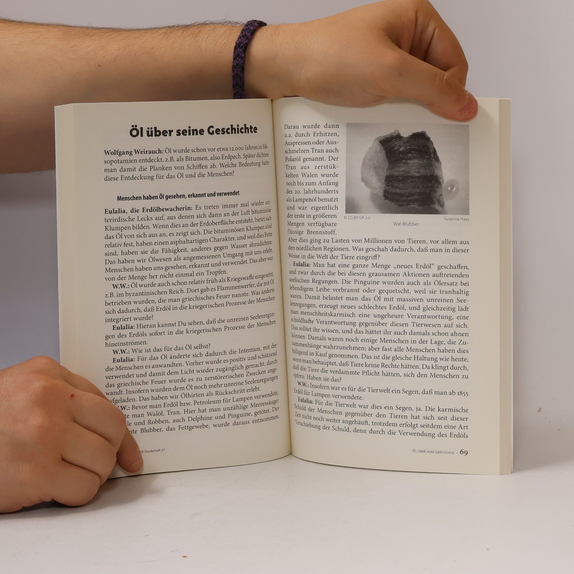Wolfgang Weirauch Flensburger Hefte - 27: Ölpest