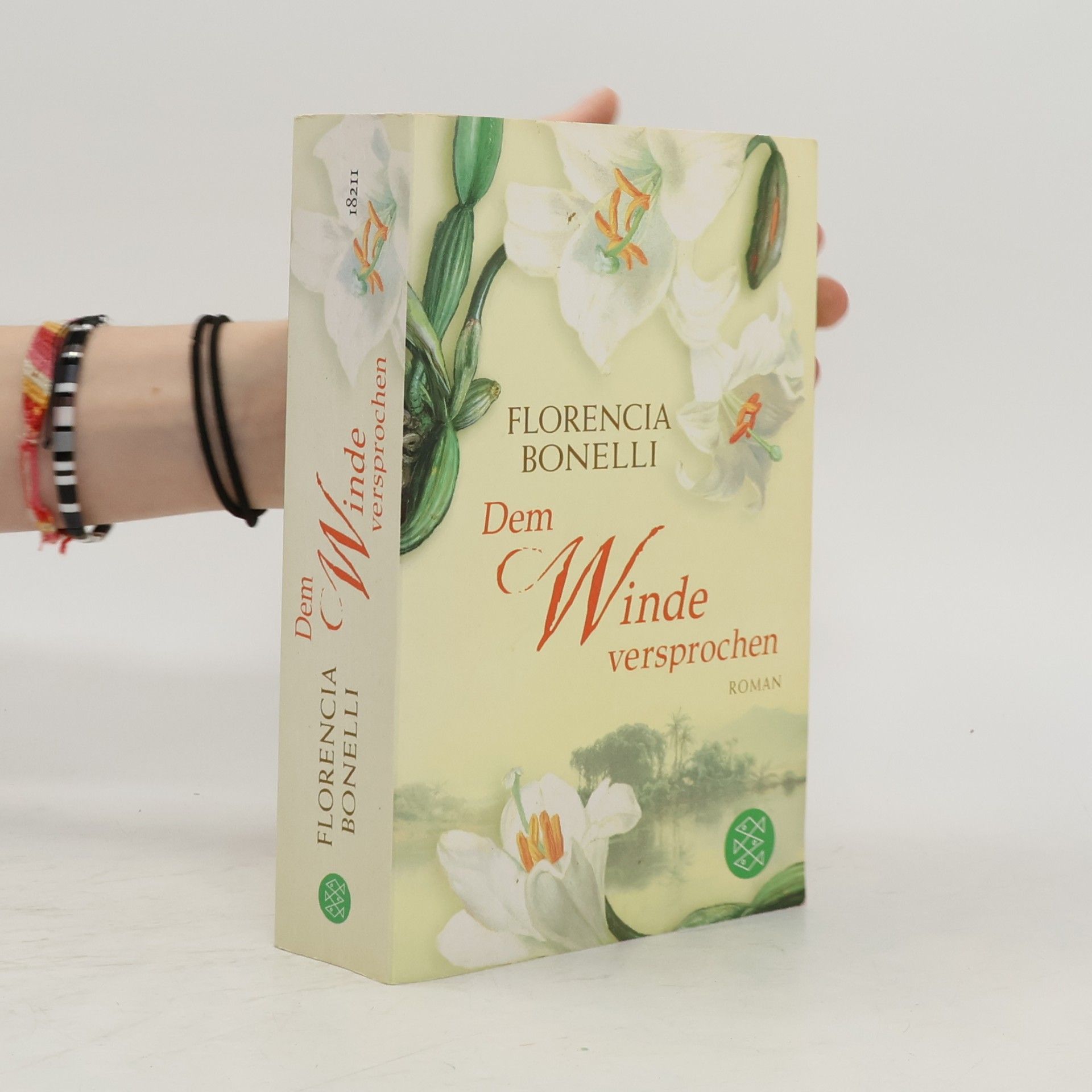 Florencia Bonelli Dem Winde versprochen