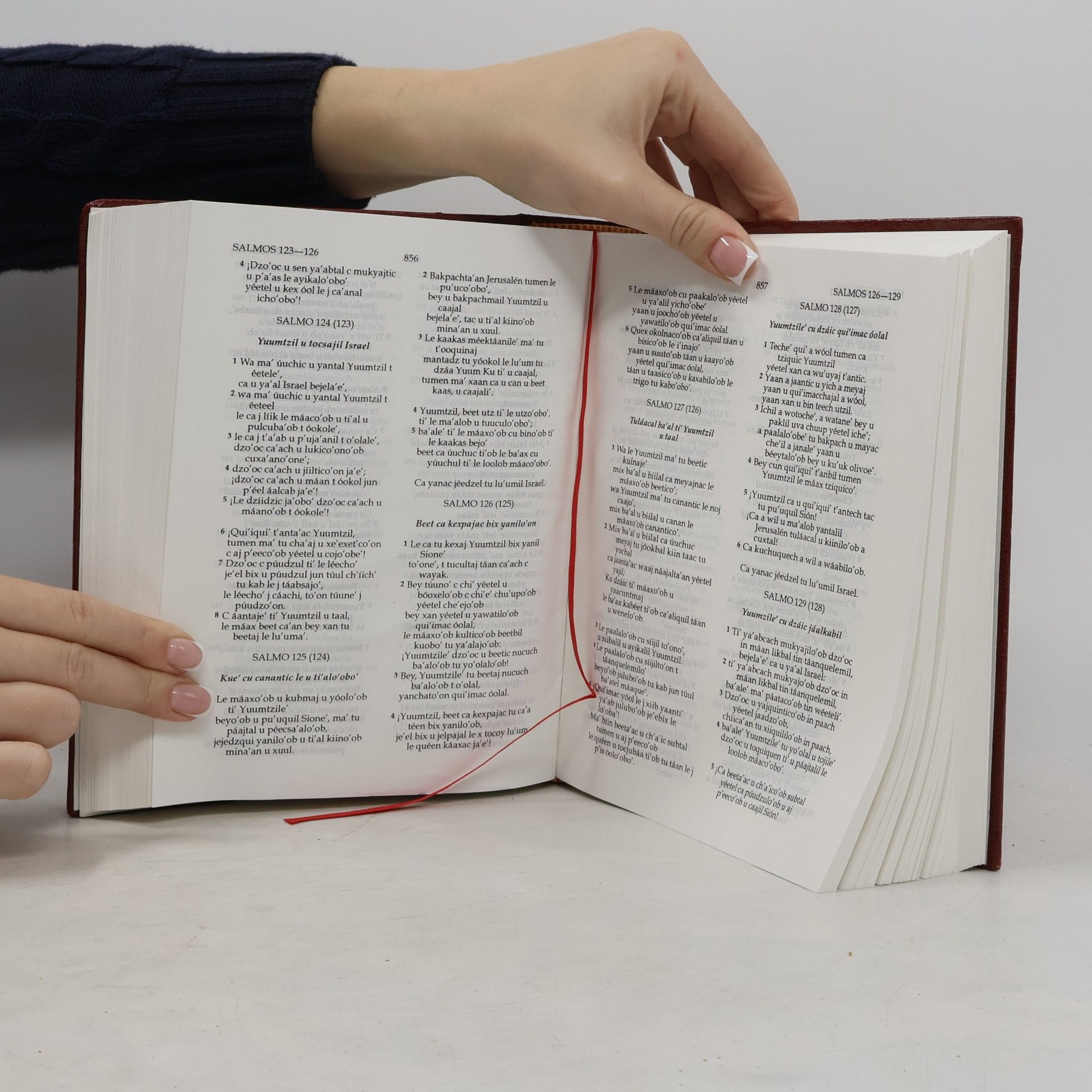 Various authors U T'an Yumku. Quil´ich Biblia