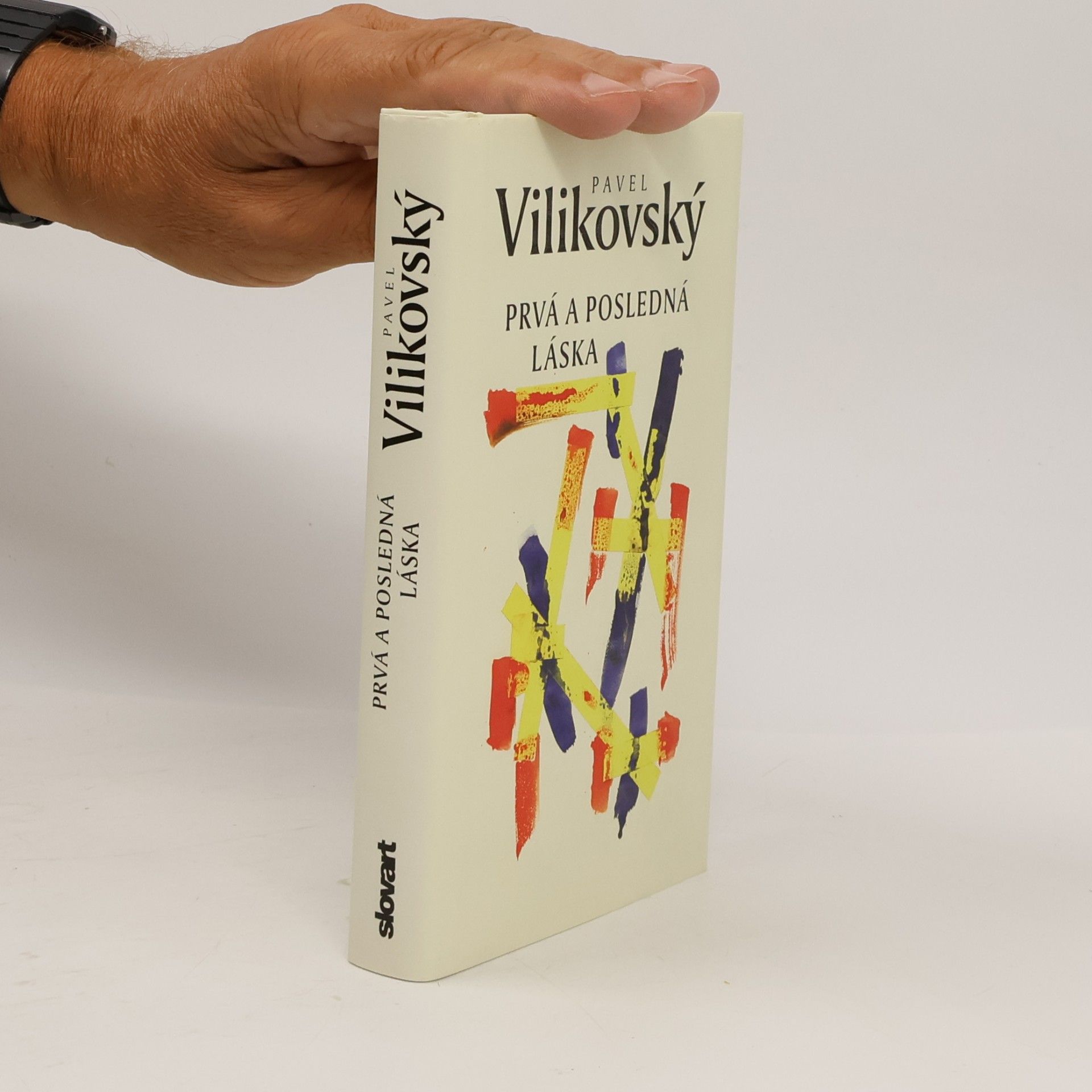 Pavel Vilikovský Prvá a posledná láska