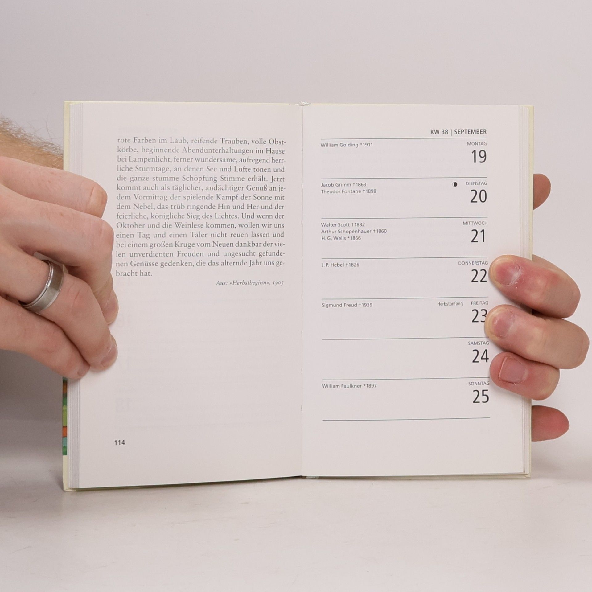 Hesse, Hermann Hermann Hesse Insel-Kalender für das Jahr 2011 (insel taschenbuch)