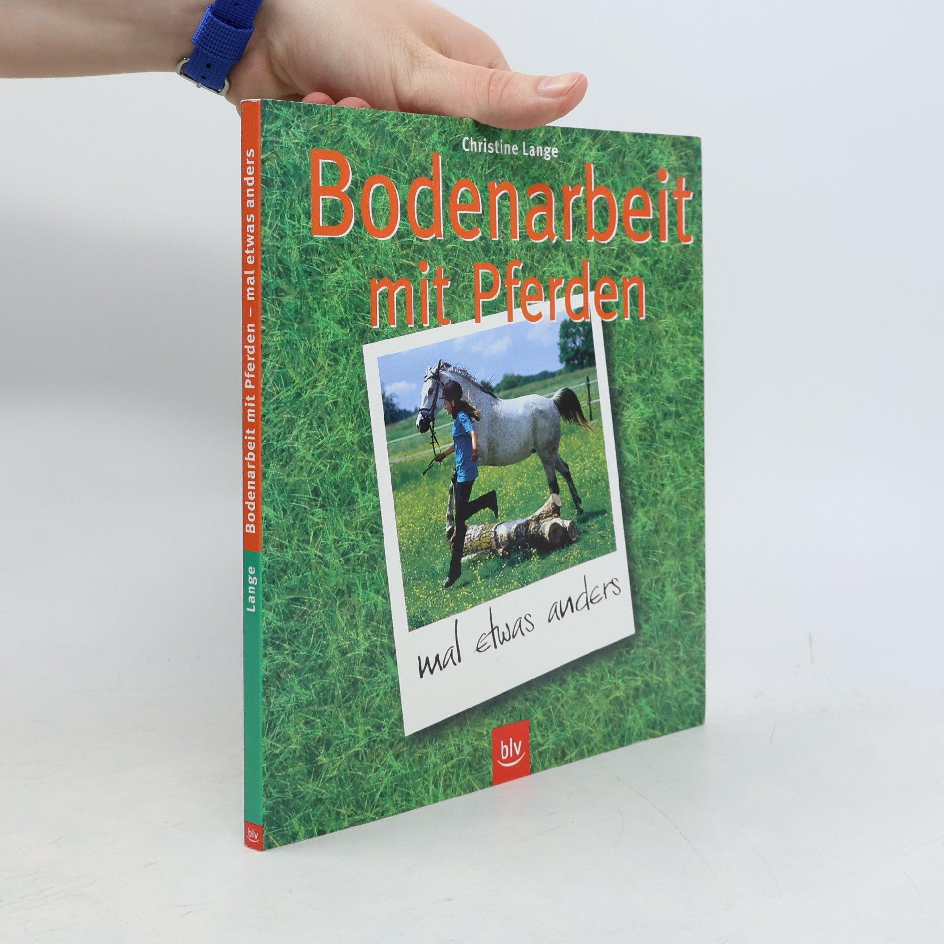 Bodenarbeit mit Pferden - mal etwas anders