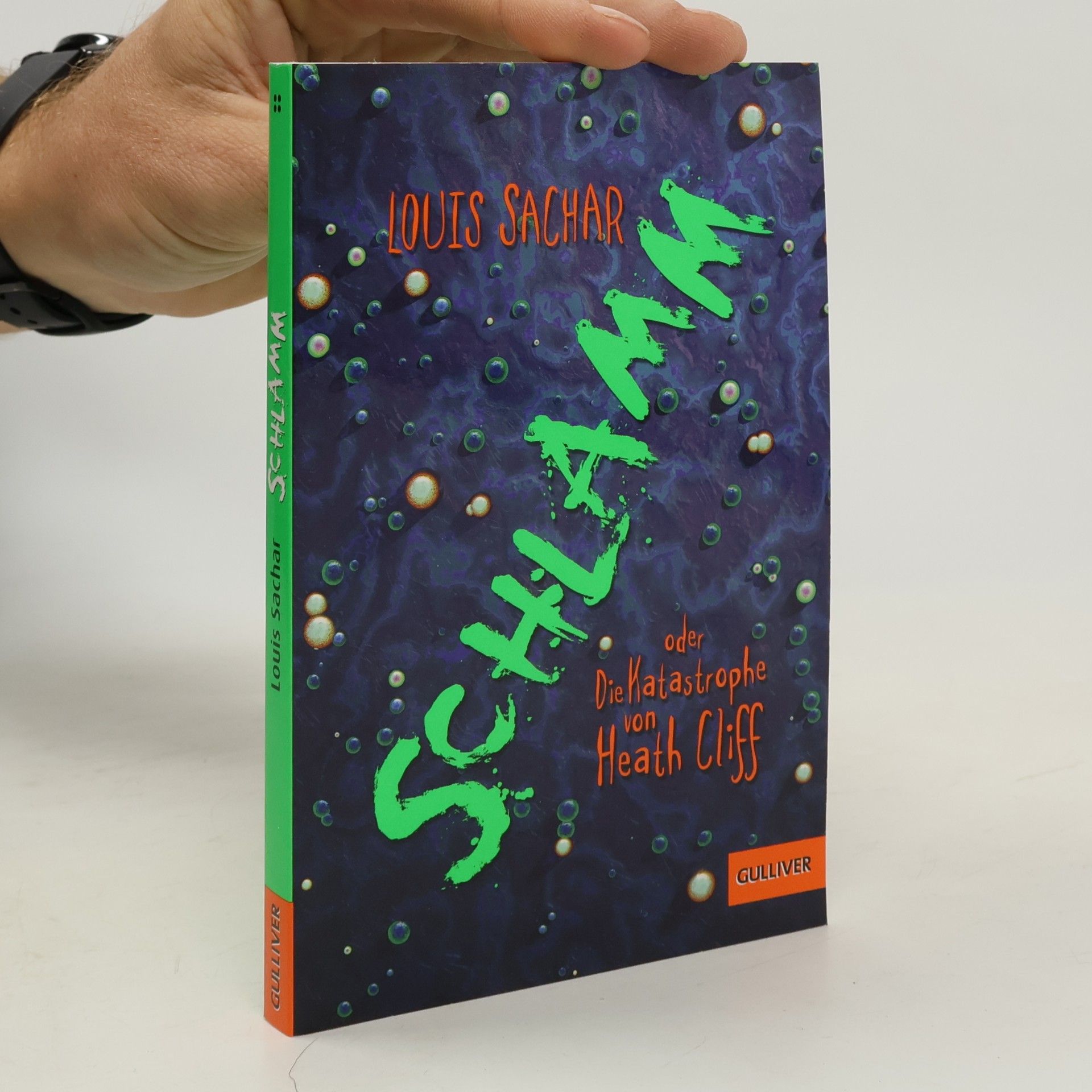 Louis Sachar Schlamm oder Die Katastrophe von Heath Cliff