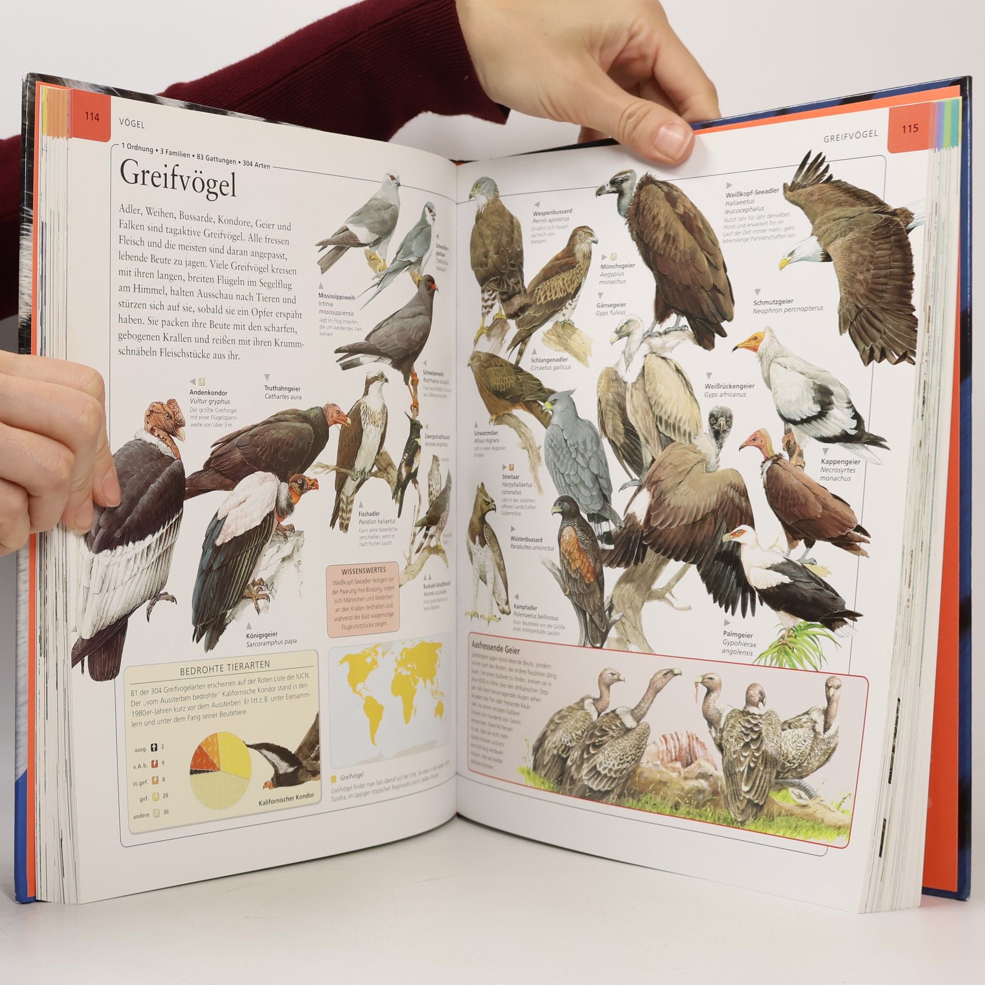 Autorenkollektiv Das Grosse Ravensburger Buch der Tiere Alle Tierarten der Erde in über 3000 farbigen Abbildungen