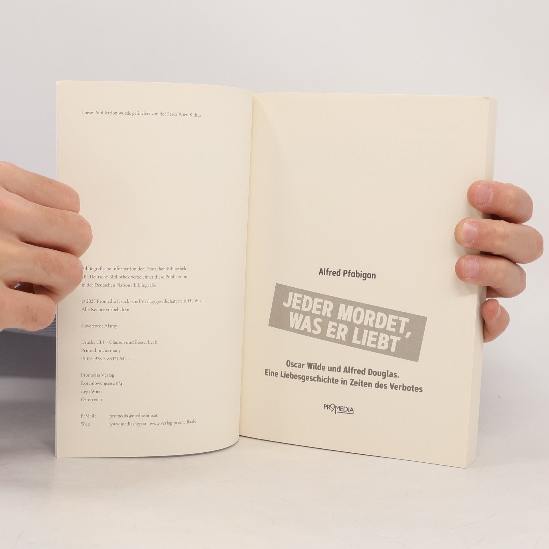 Alfred Pfabigan Jeder mordet, was er liebt: Oscar Wilde und Alfred Douglas. Eine Liebesgeschichte in Zeiten des Verbotes