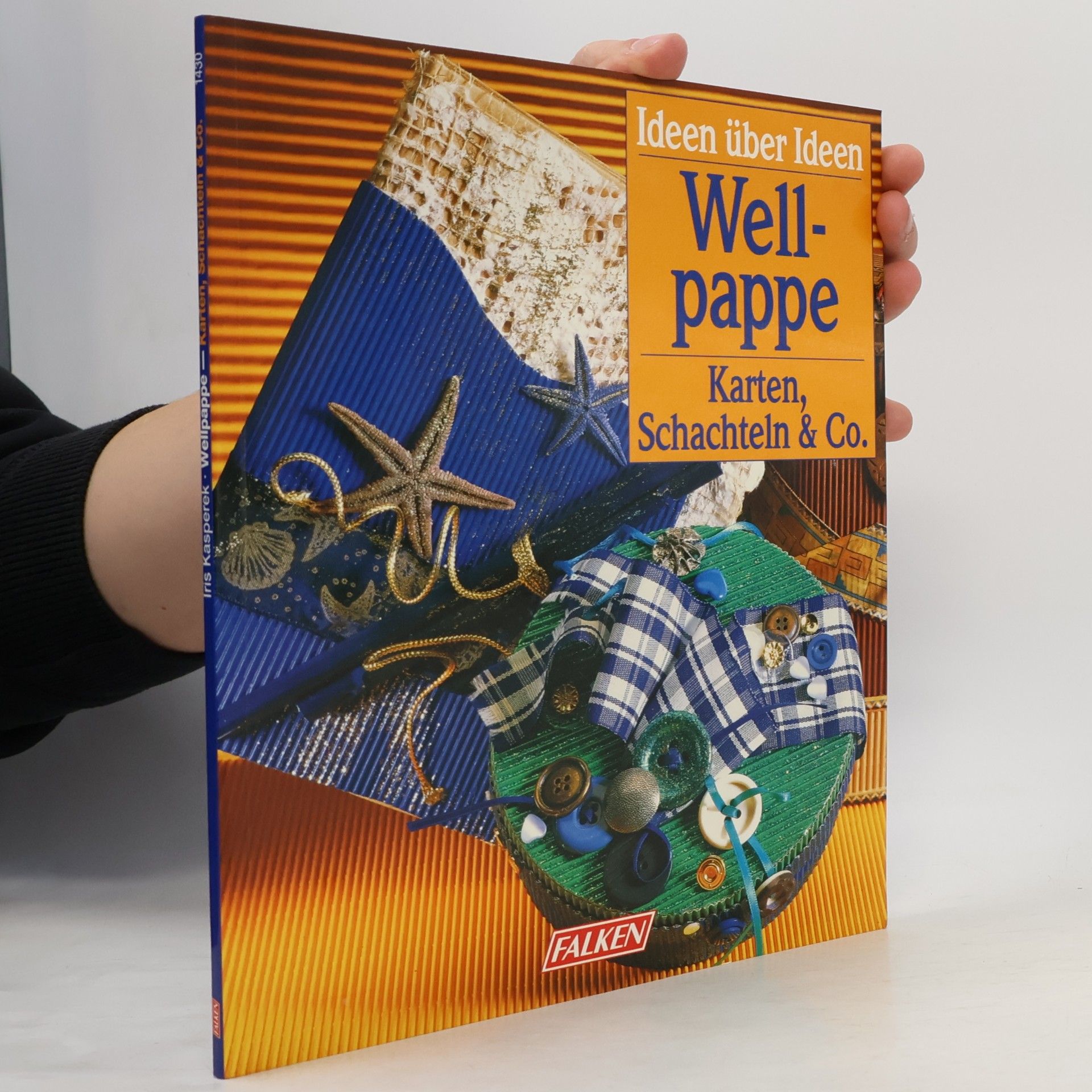 Kolektiv autorů Alles aus Wellpappe