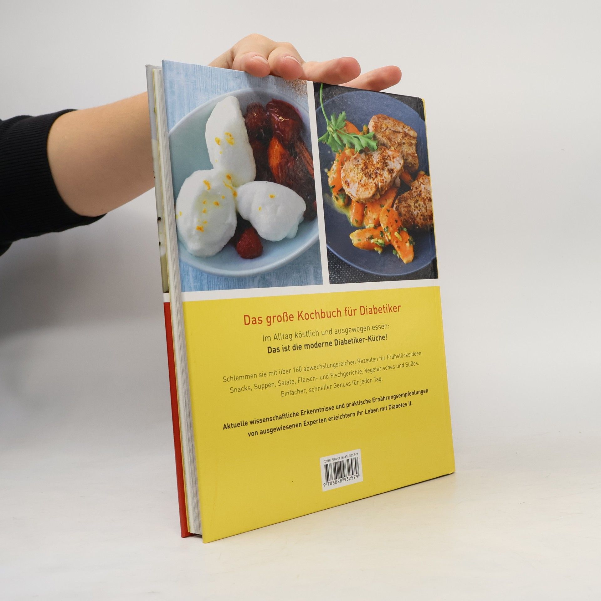 Dagmar Hauner Das große Kochbuch für Diabetiker