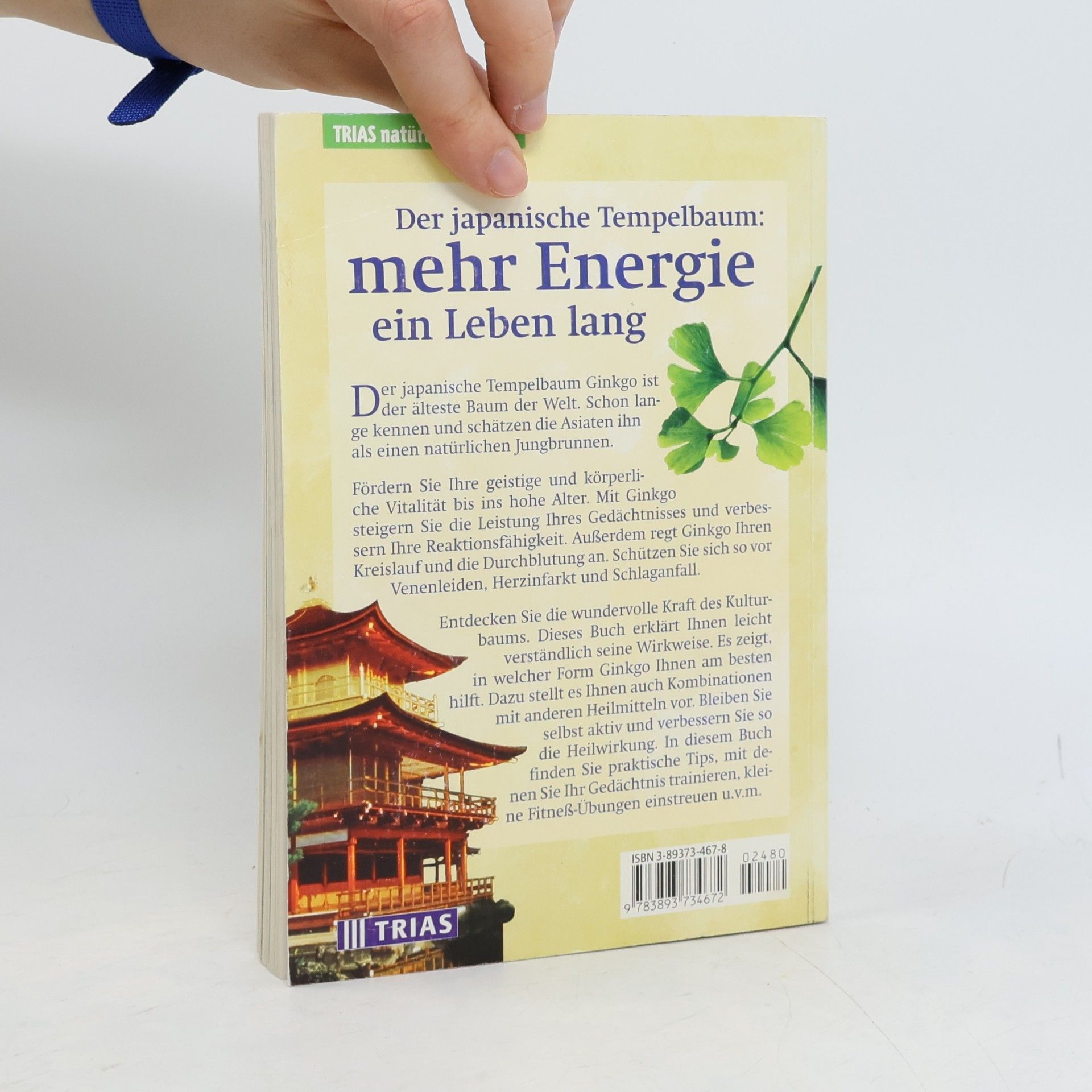 Gertrud Teusen Ginkgo - natürliche Energie für Ihr Gehirn