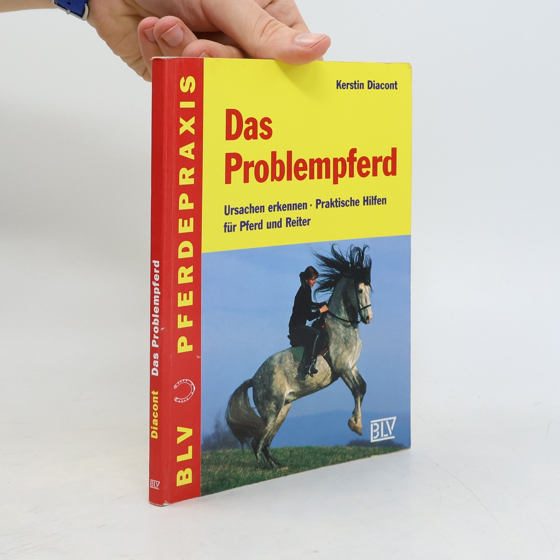 Das Problempferd