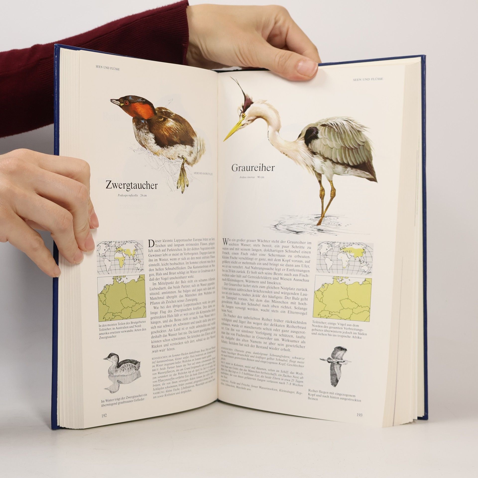 Richard Sidney Buch der Vogelwelt. Mitteleuropa