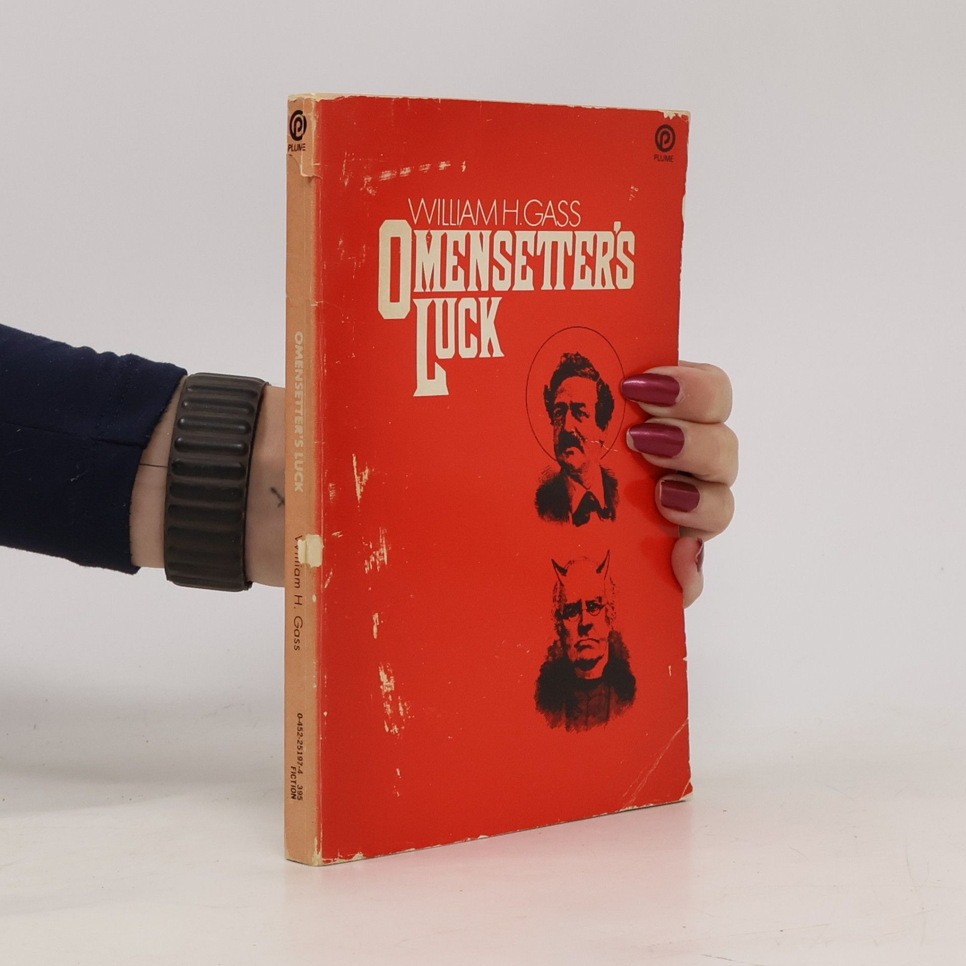 William H. Gass Omensetter's Luck