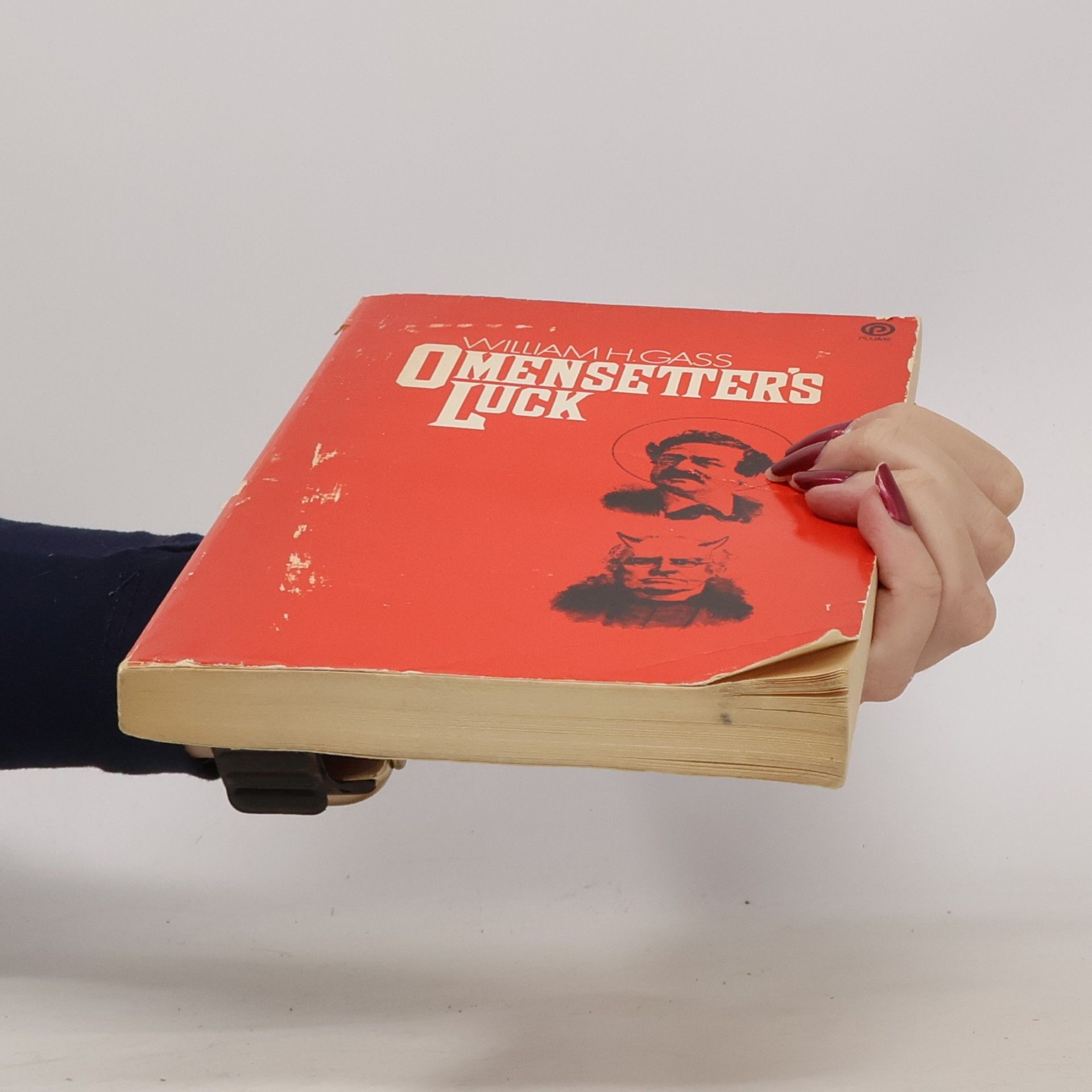 William H. Gass Omensetter's Luck