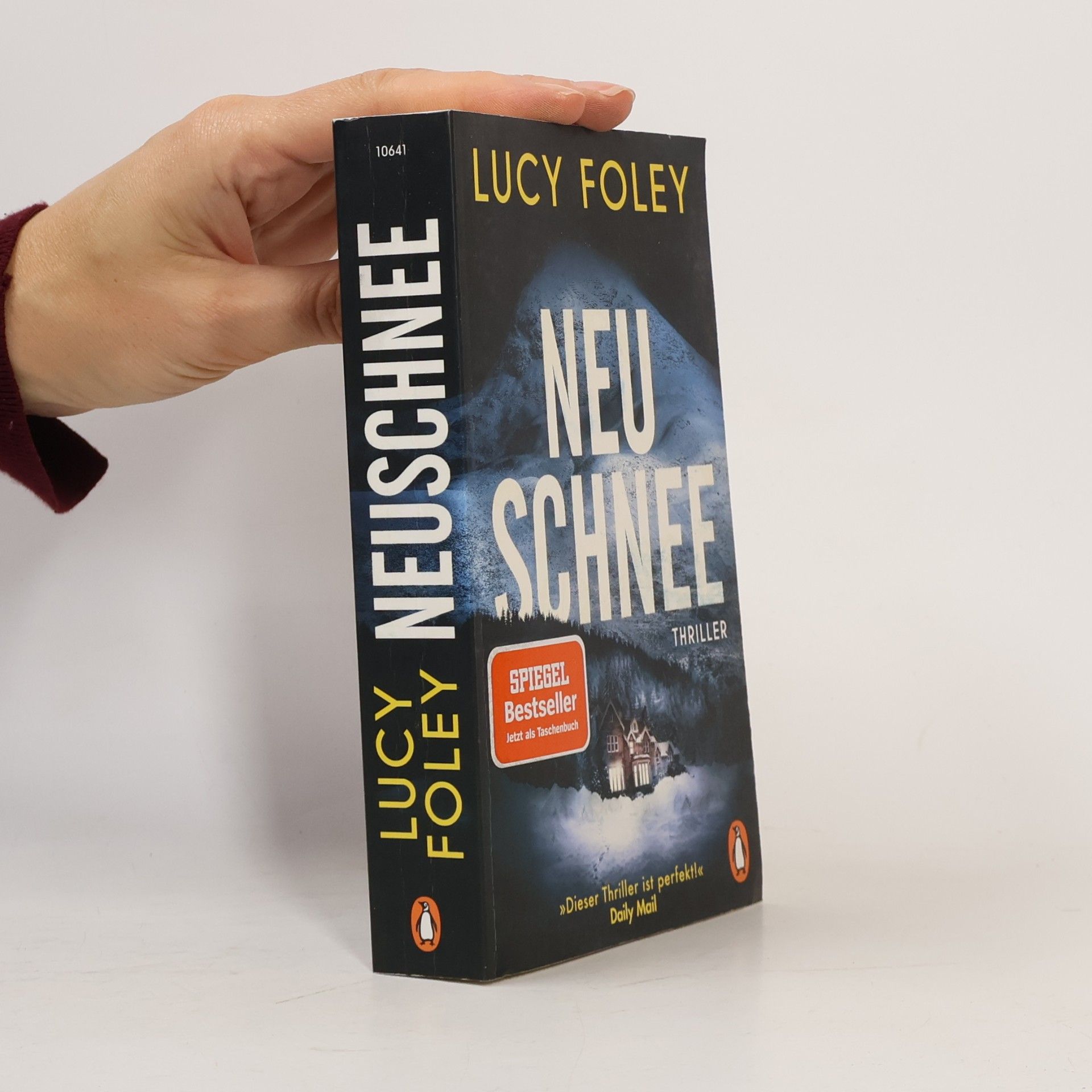 Lucy Foley Neuschnee
