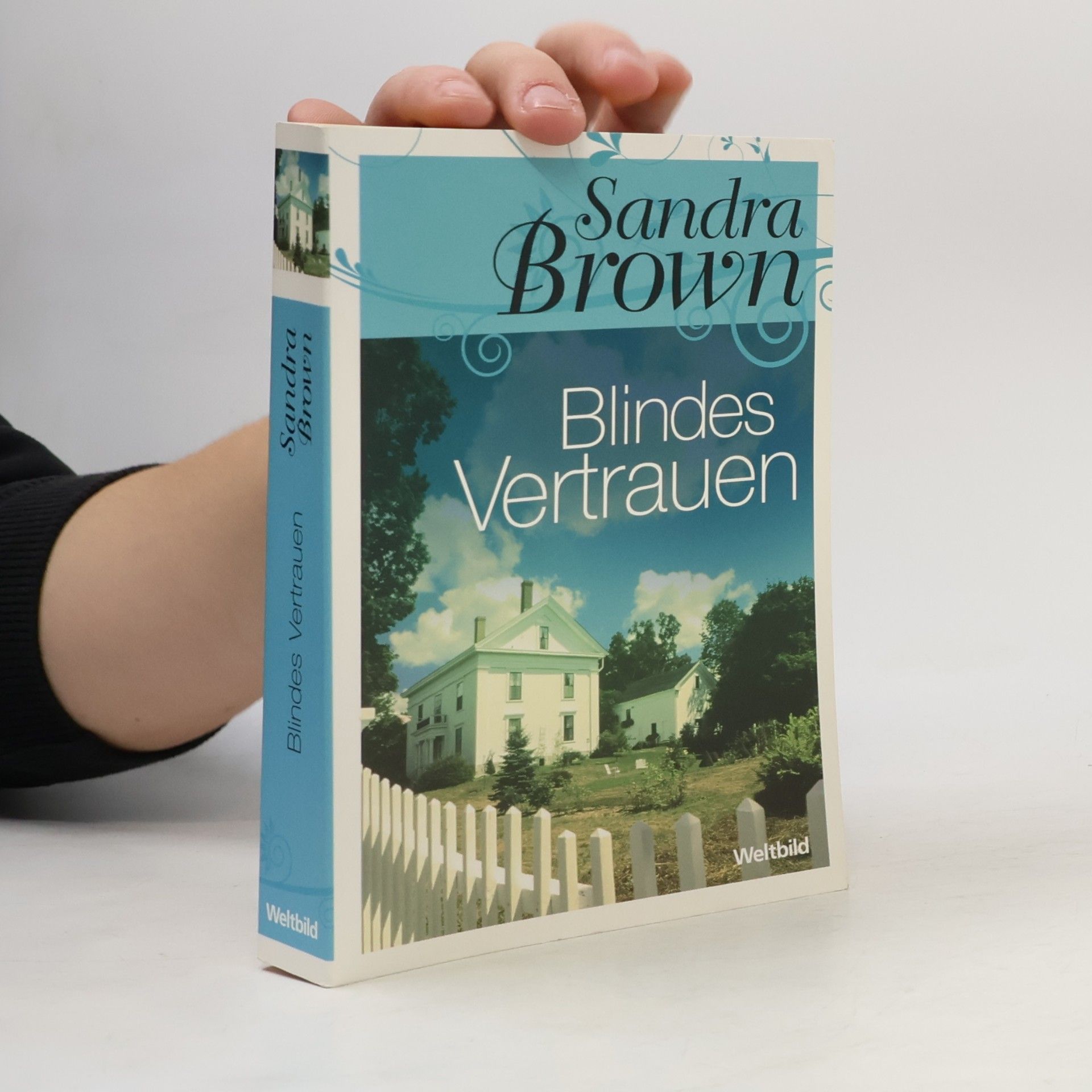 Sandra Brown Blindes Vertrauen