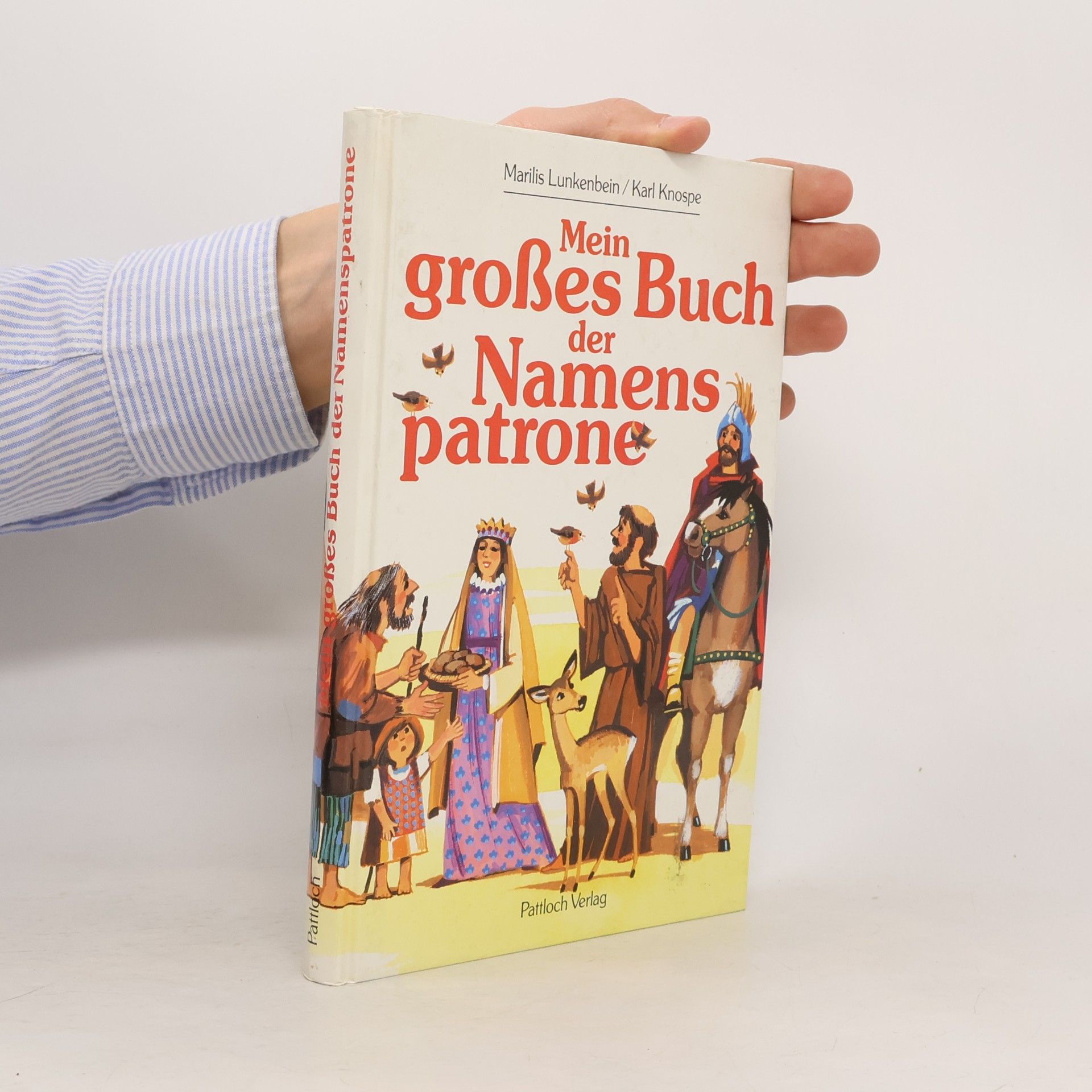 Mein grosses Buch der Namenspatrone