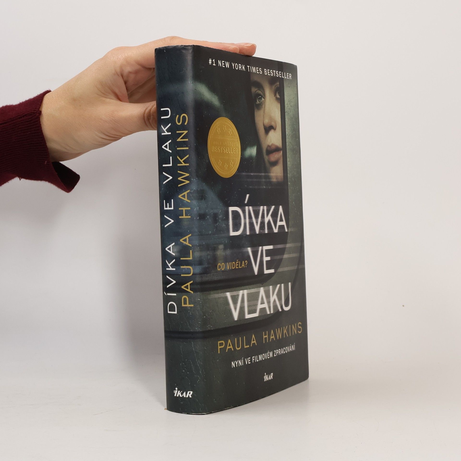 Dívka ve vlaku