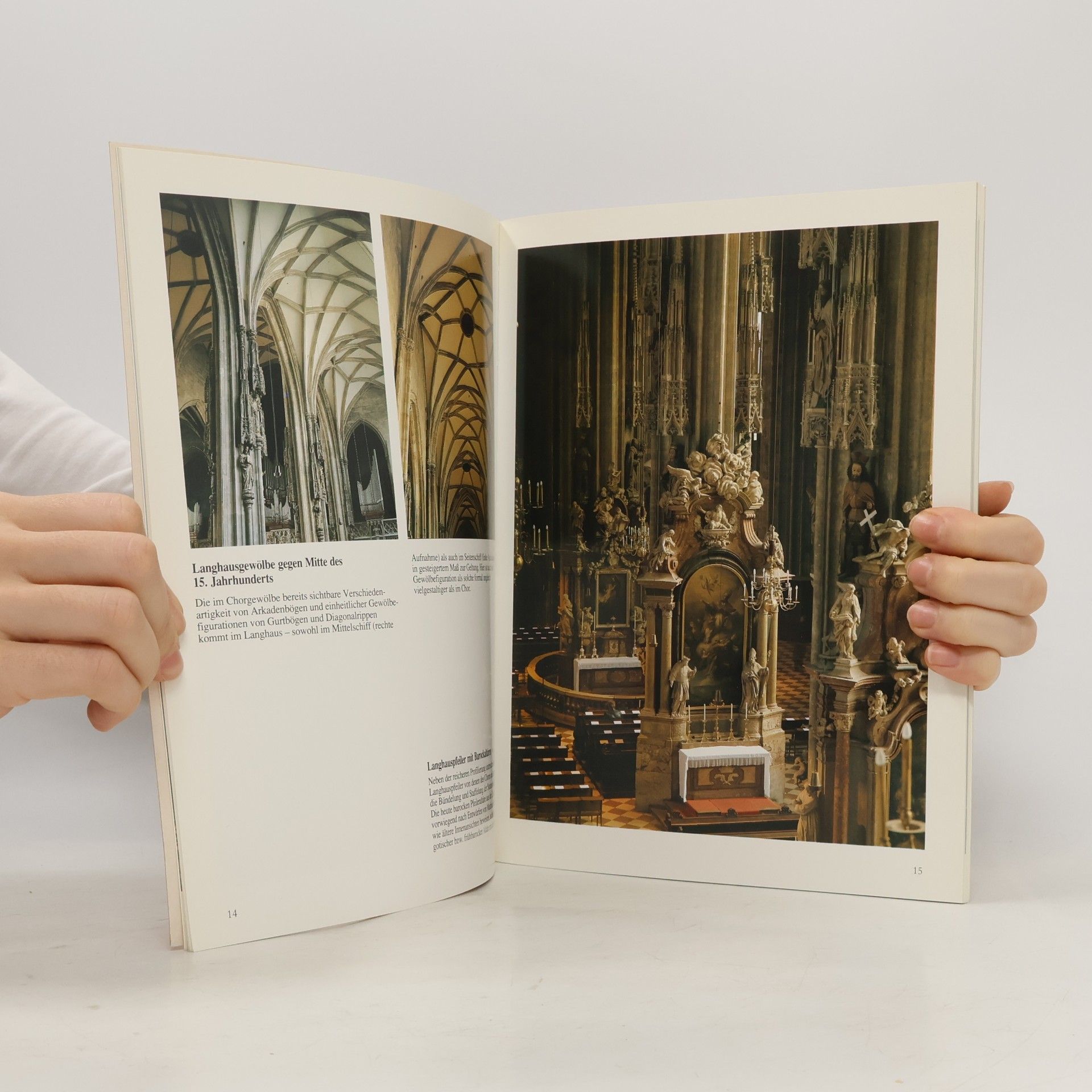 Arthur Saliger Der Stephansdom zu Wien