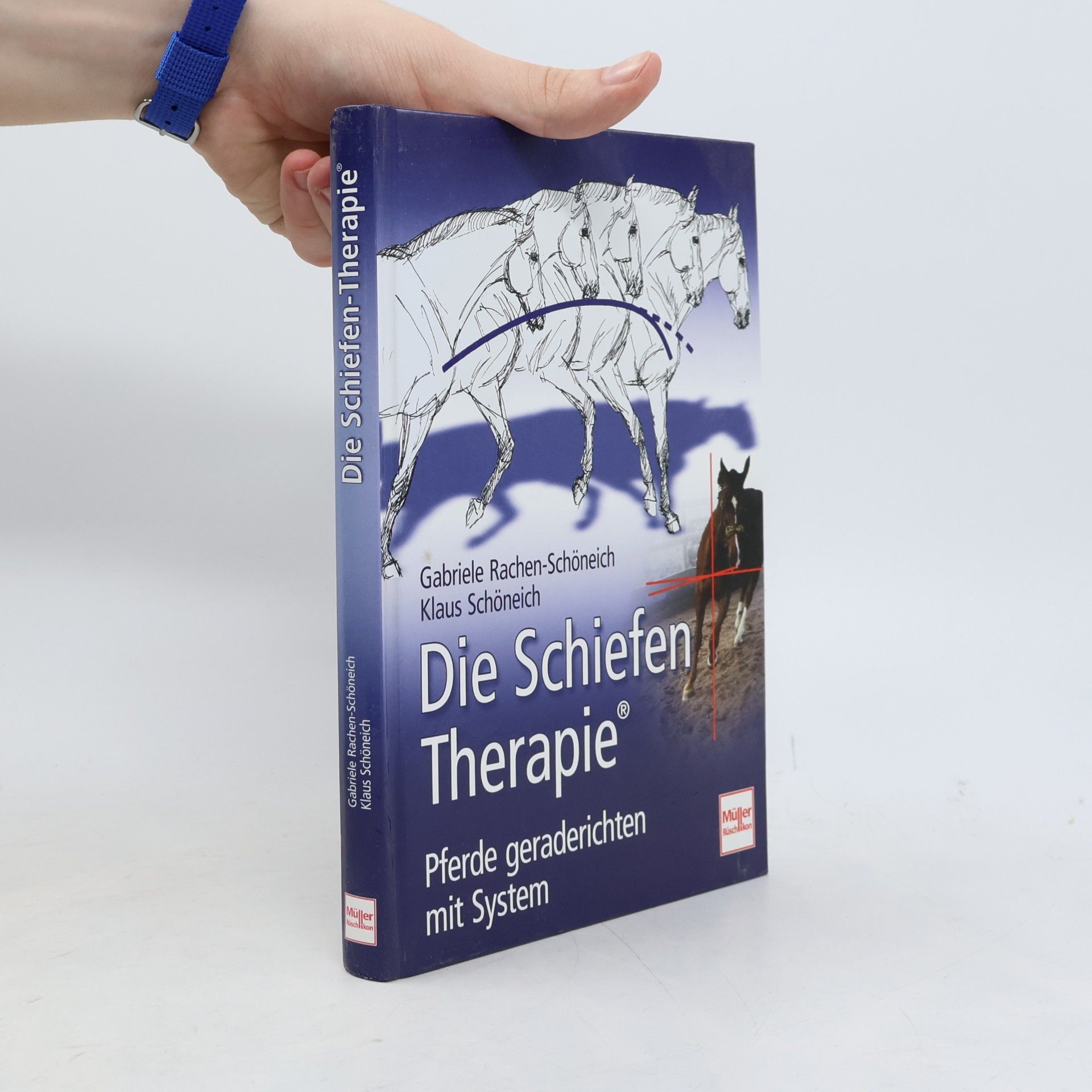 Klaus Schöneich Die Schiefen-Therapie