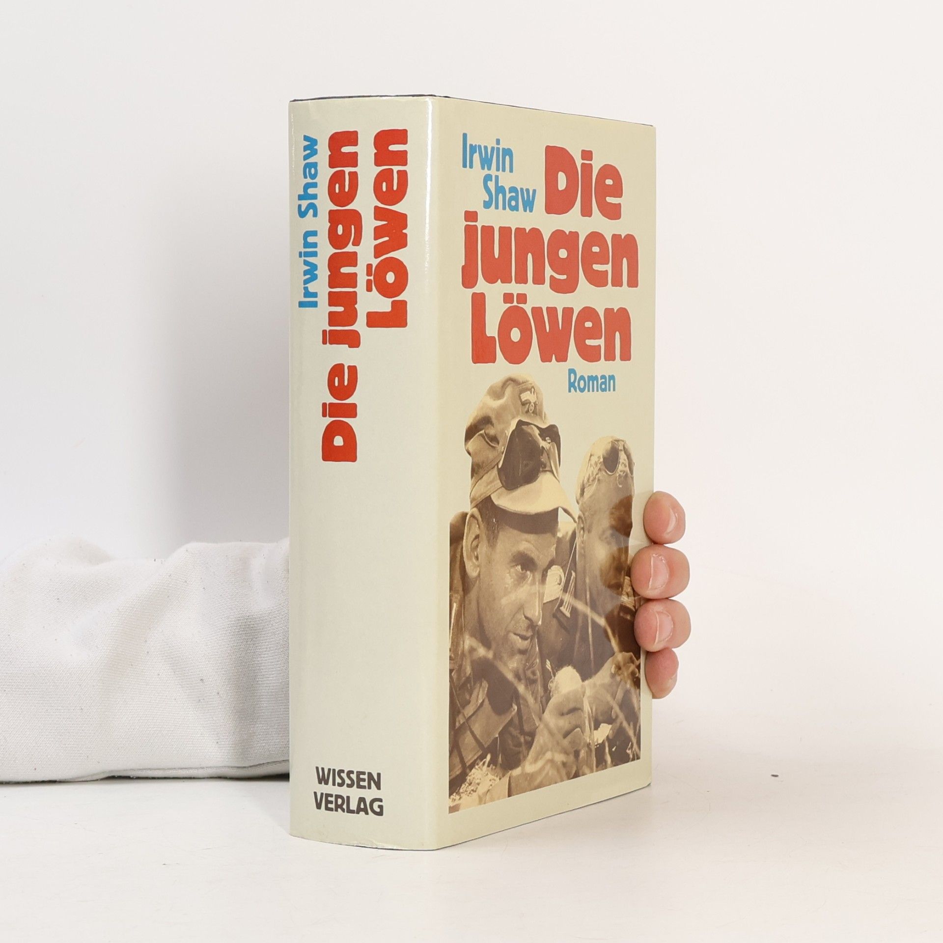 Die jungen Löwen