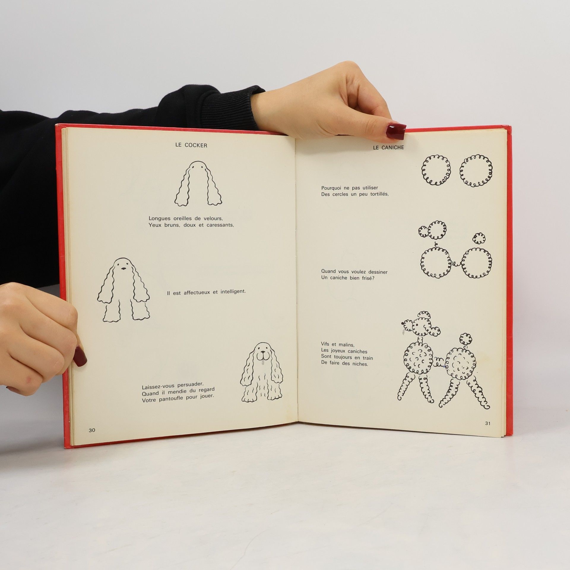 Anne Davidow Dessinons des animaux