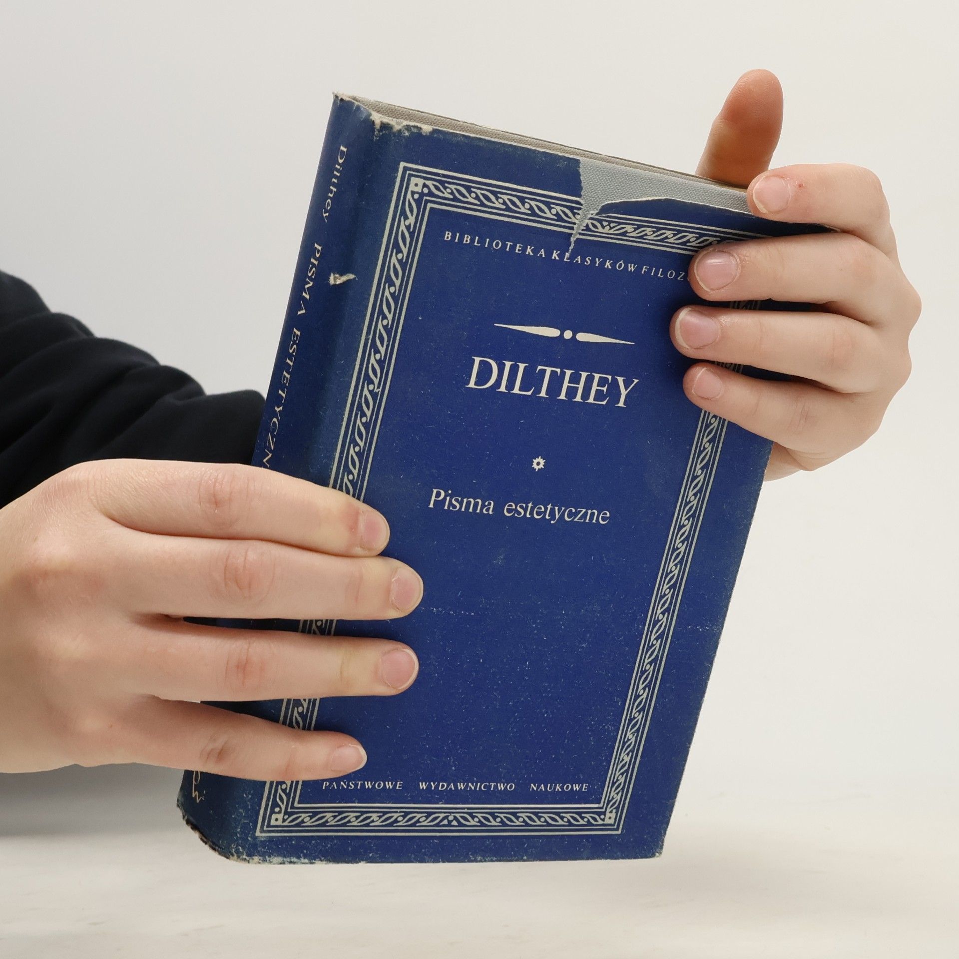 Wilhelm Dilthey Pisma estetyczne