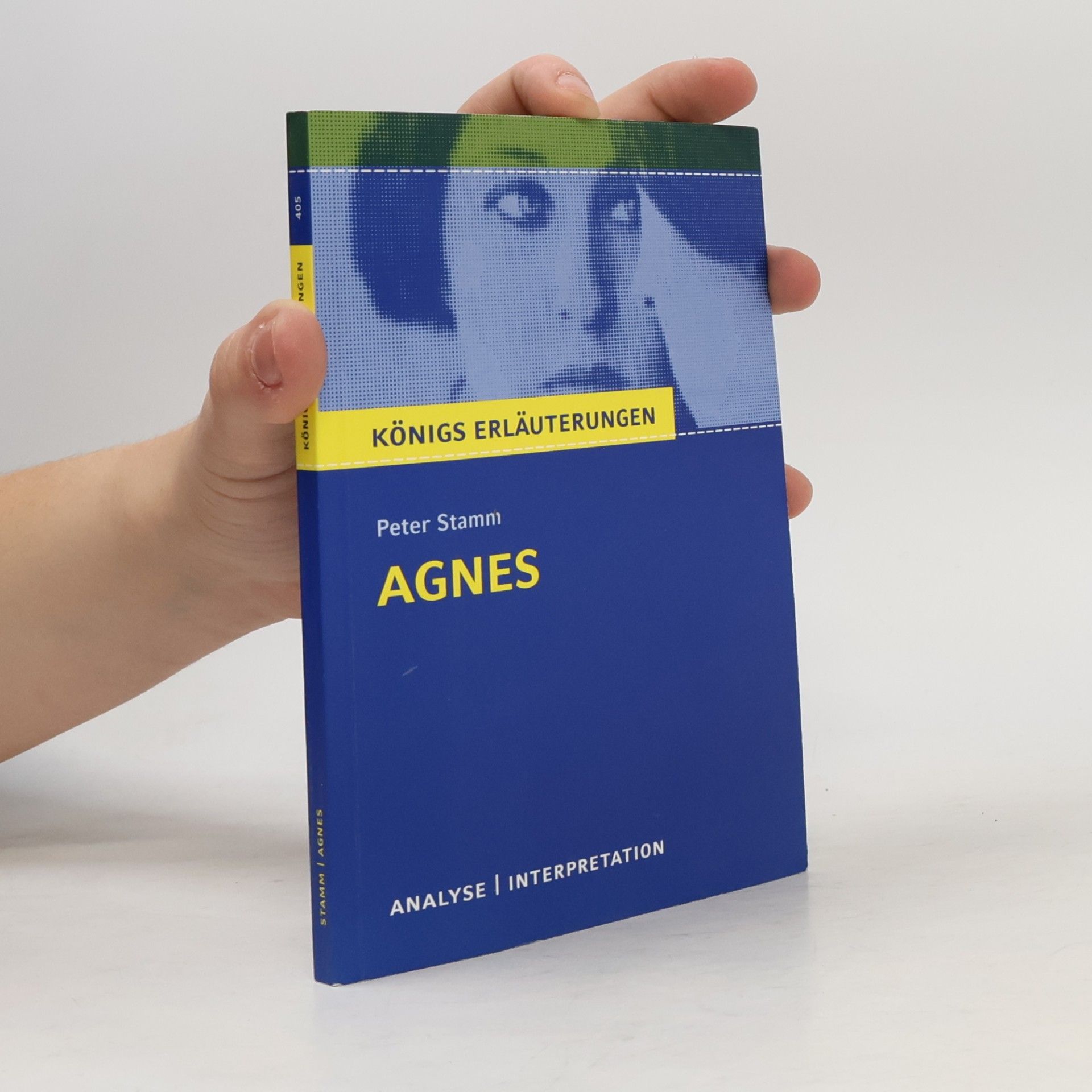 Peter Stamm Agnes