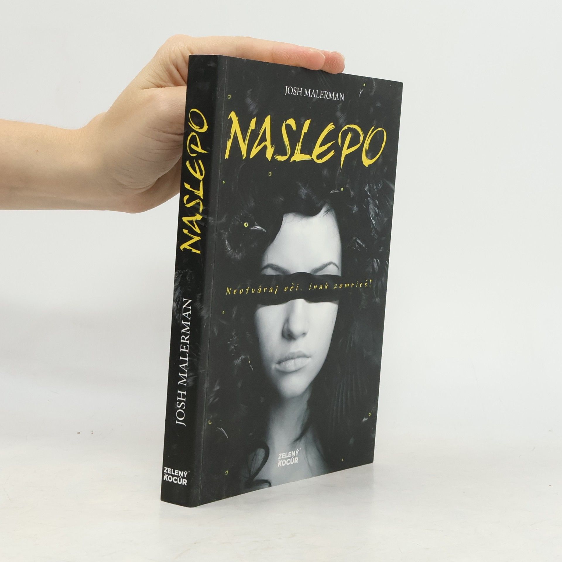 Josh Malerman Naslepo