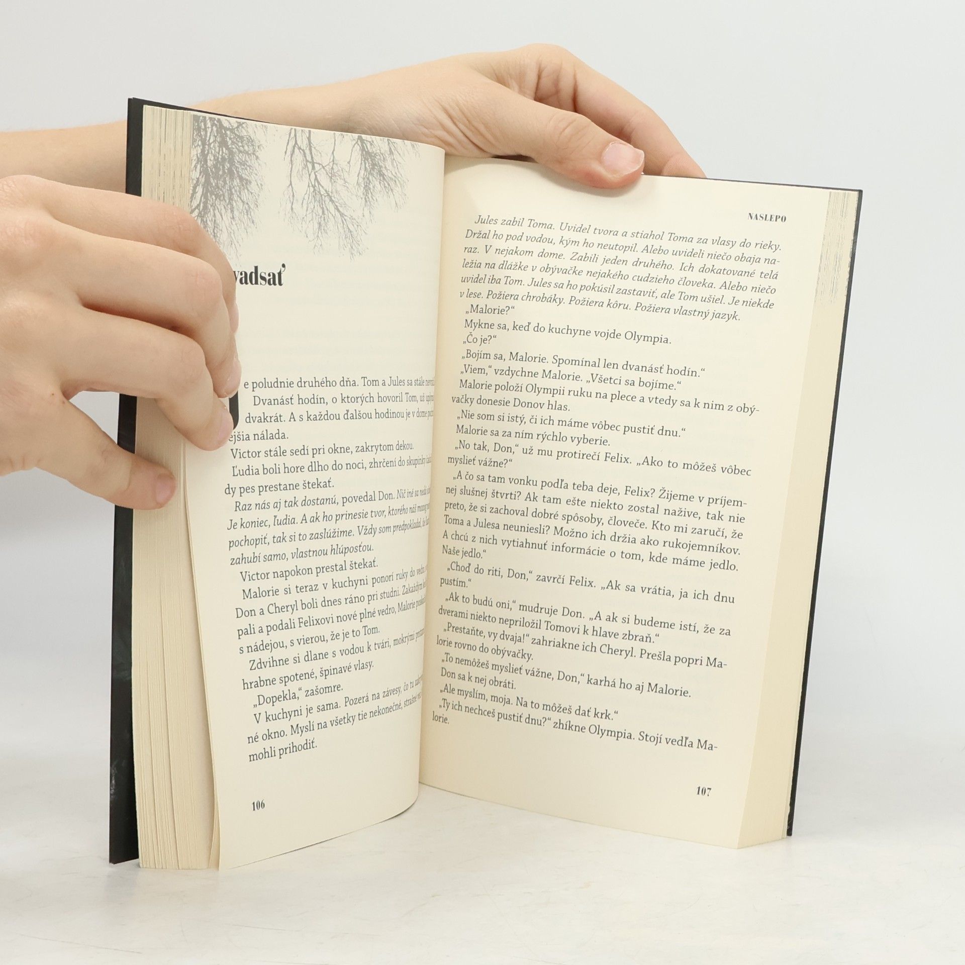 Josh Malerman Naslepo