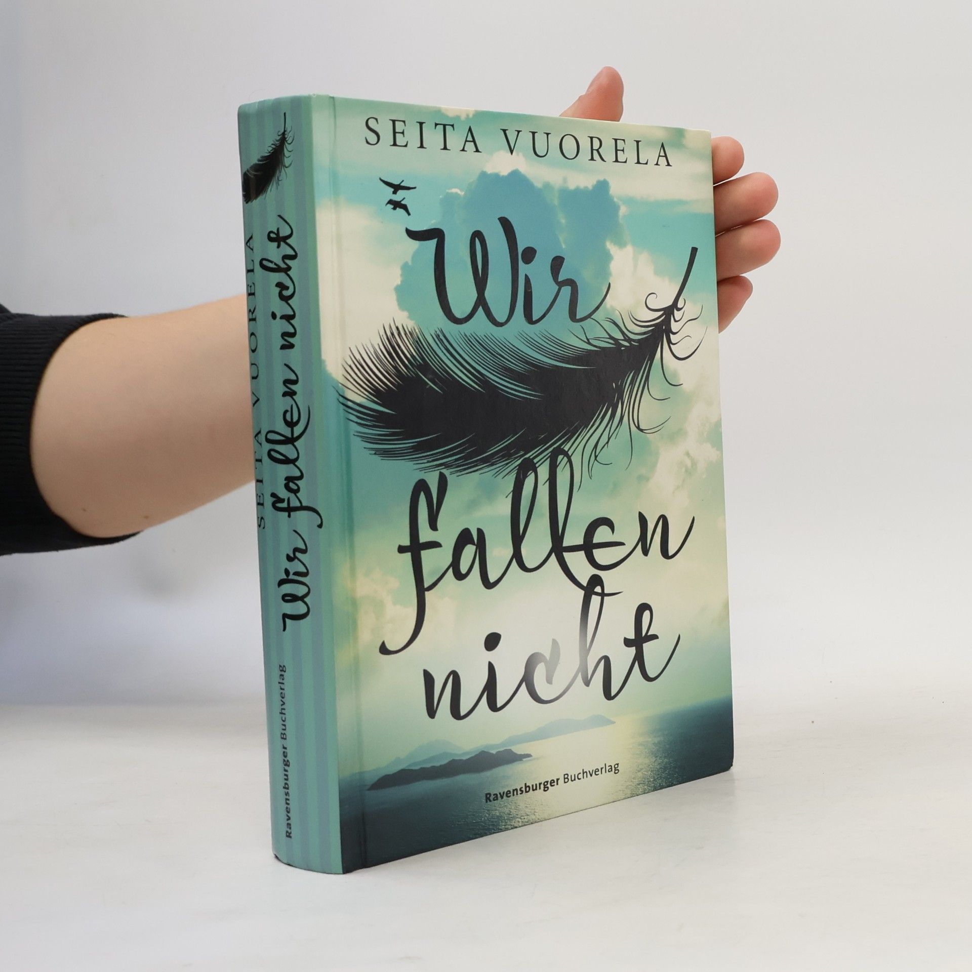Seita Vuorela Wir fallen nicht