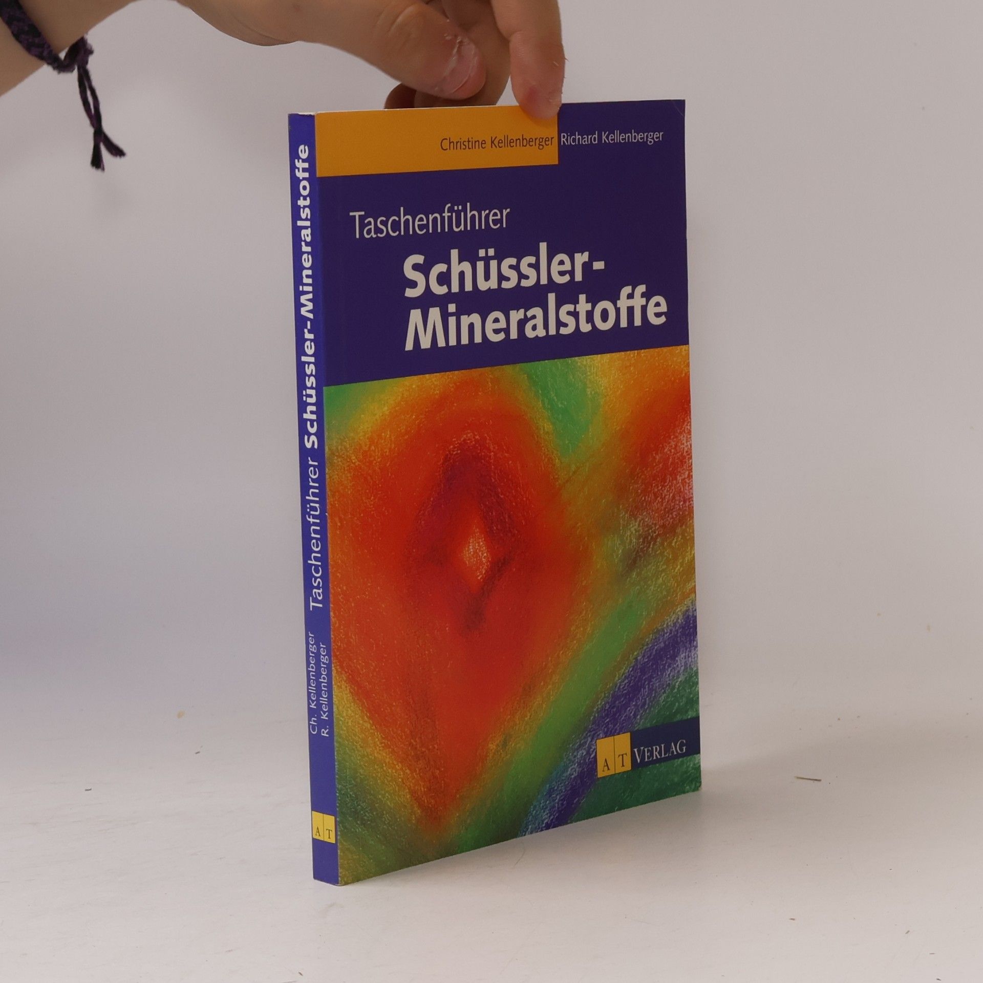 Richard Kellenberger Taschenführer Schüssler-Mineralstoffe