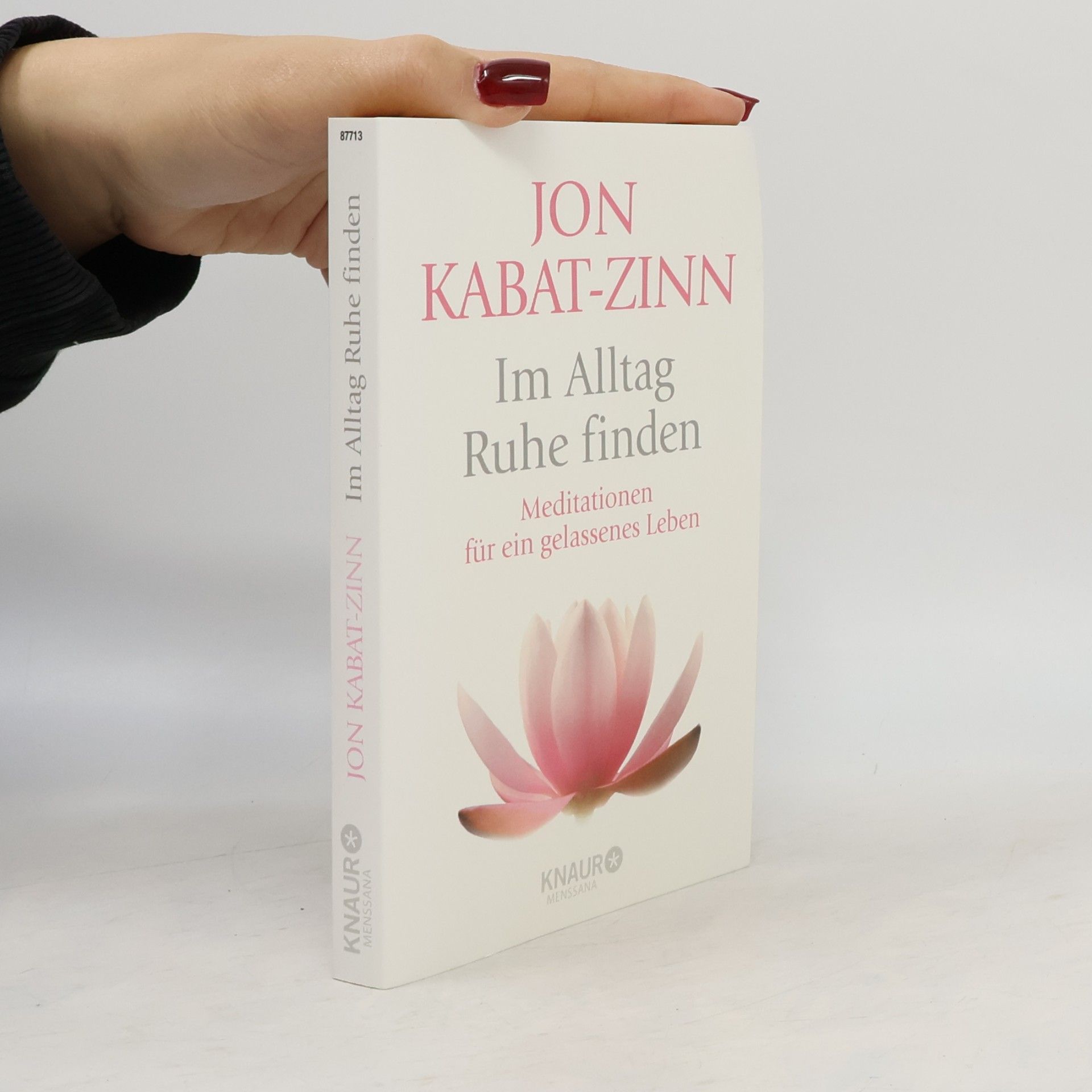Jon Kabat-Zinn Im Alltag Ruhe finden