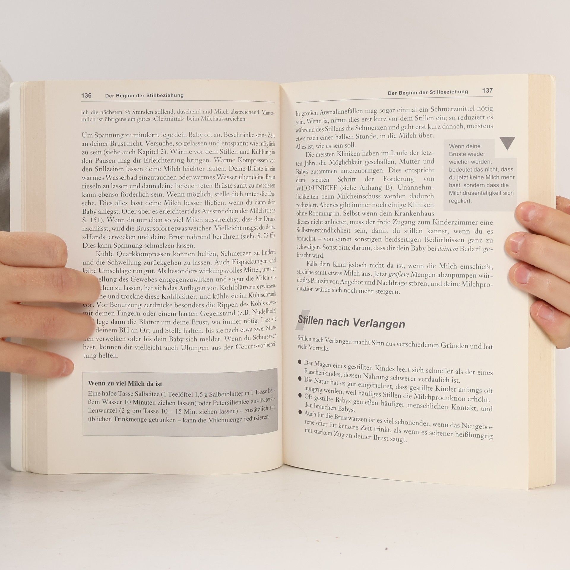 Hanny Lothrop Das Stillbuch