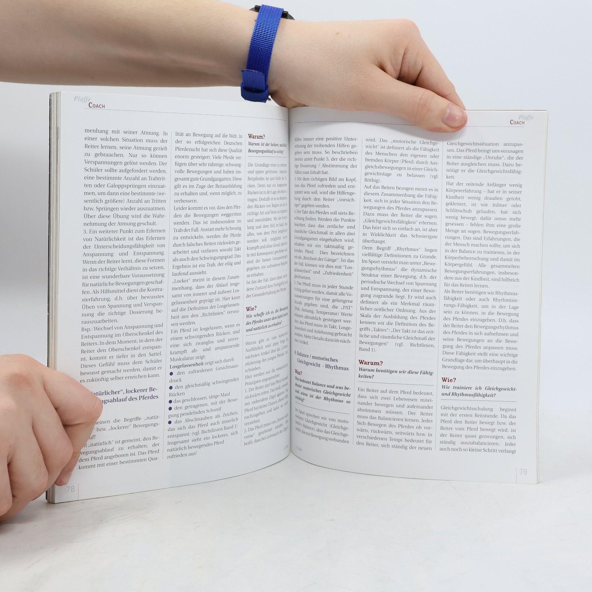 Autorenkollektiv Piaffe 2/2008