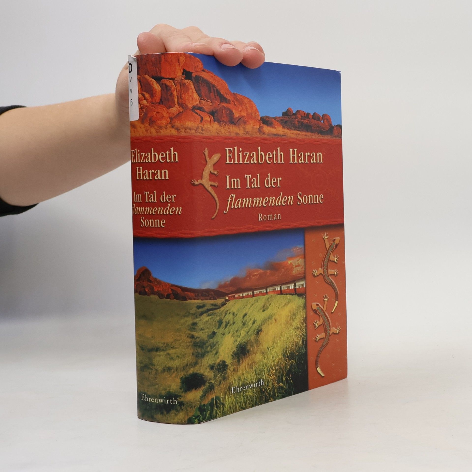 Elizabeth Haran Im Tal der flammenden Sonne