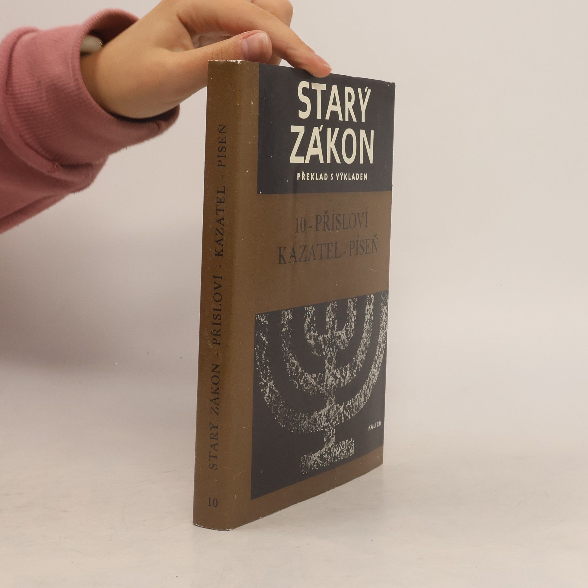 Various authors Starý zákon překlad s výkladem 10. Přísloví. Kazatel. Píseň.