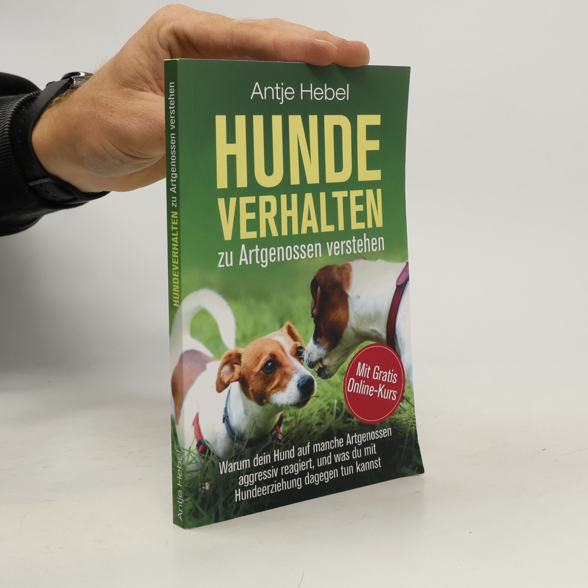 Antje Hebel Hundeverhalten zu Artgenossen verstehen
