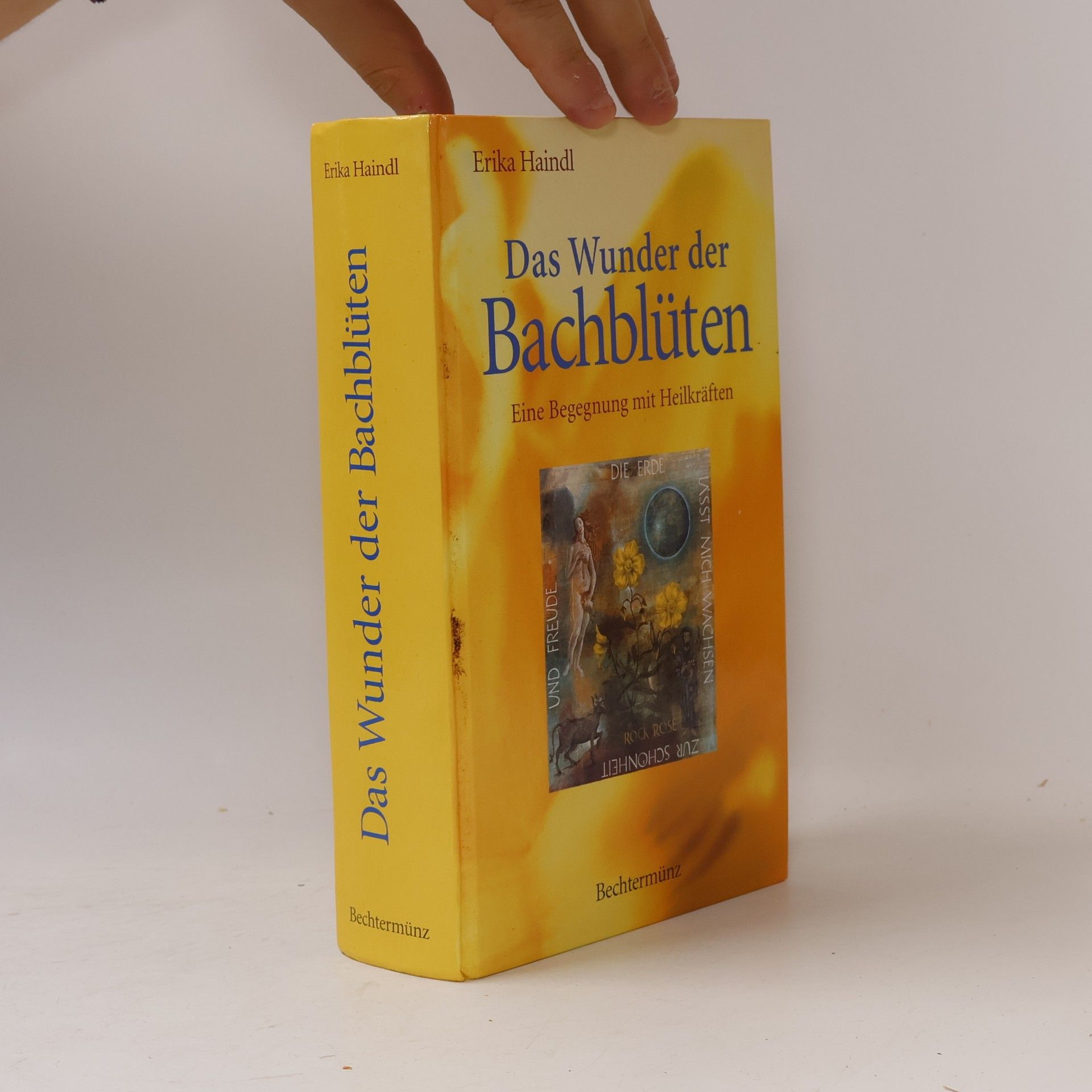 Erika Haindl Das Wunder der Bachblüten