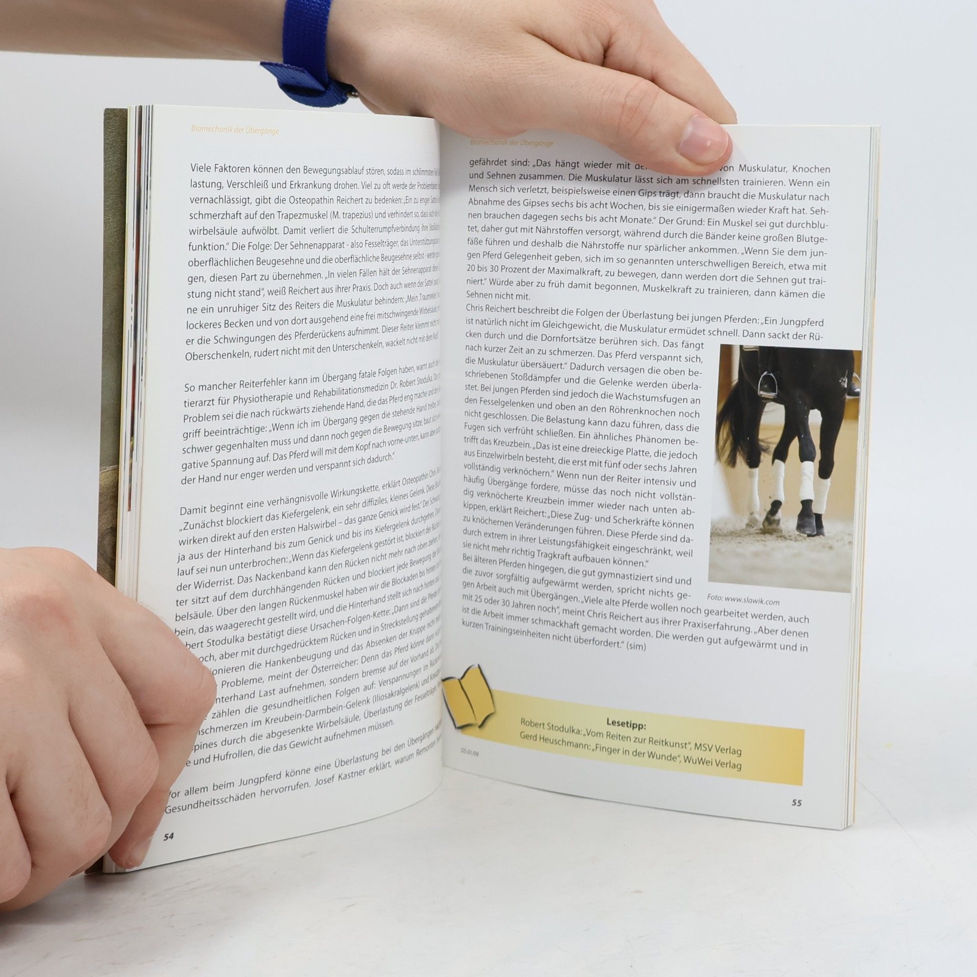 Autorenkollektiv Dressur Studien 1/2009