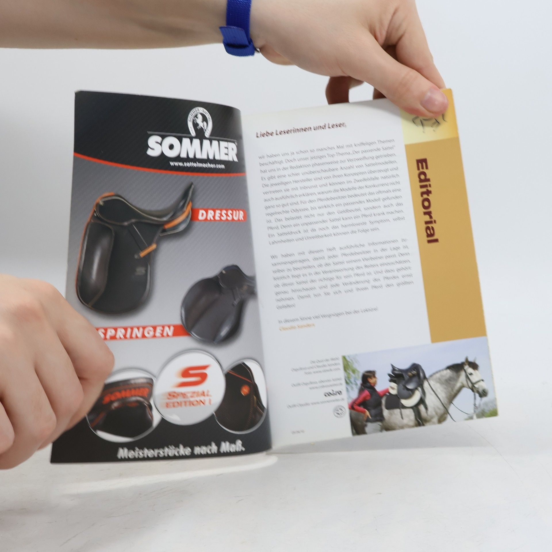 kolektiv Dressur-Studien. Der passende Sattel